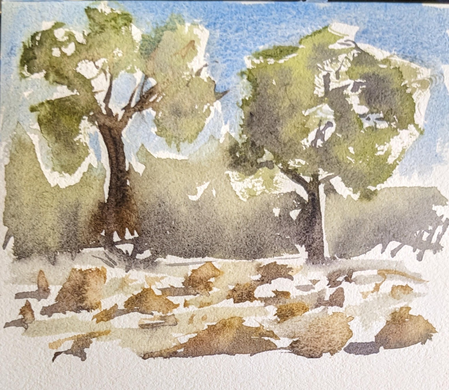 good ol trees - image 1 - student project