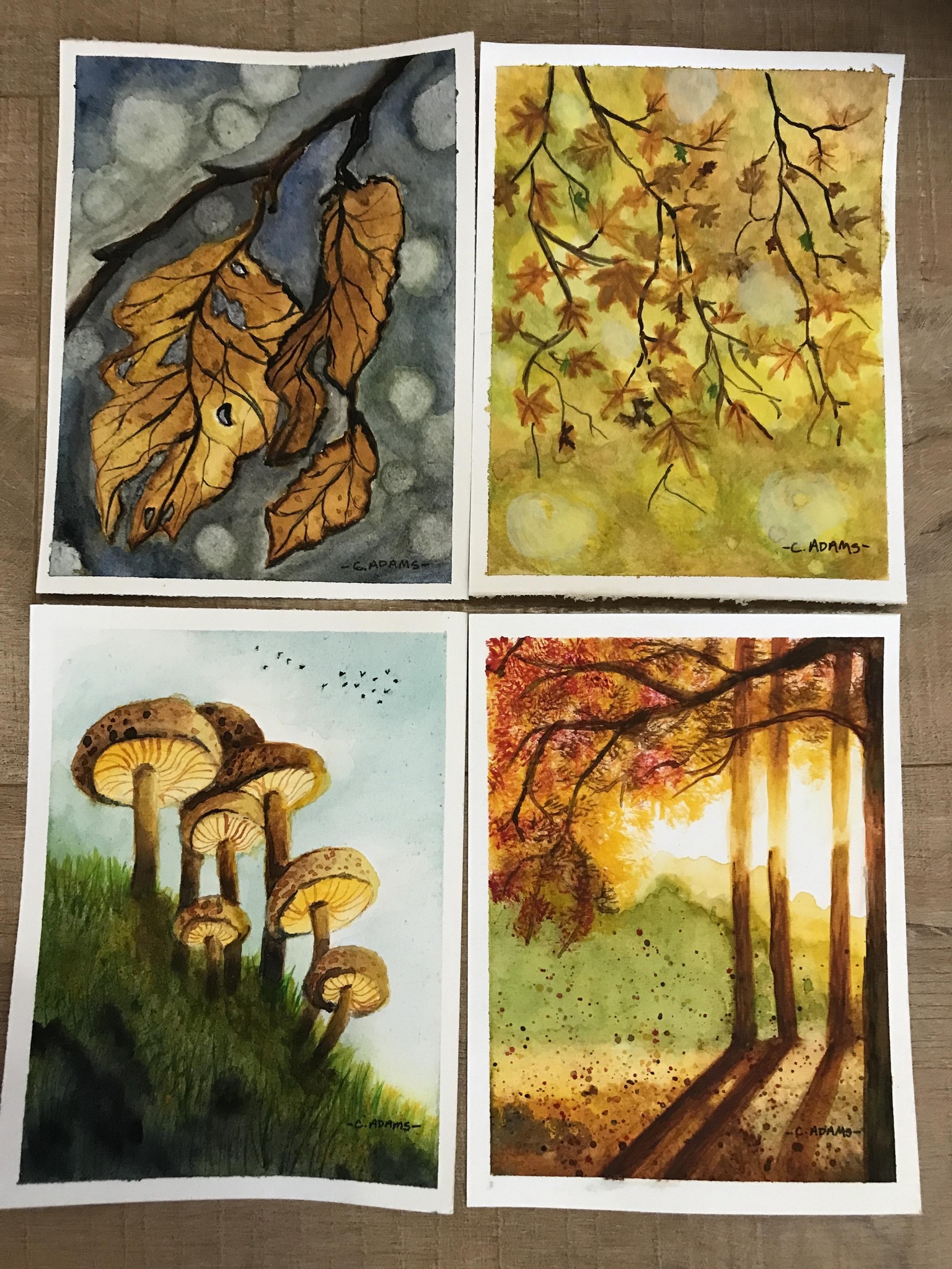 Autumn Landscapes - image 3 - student project