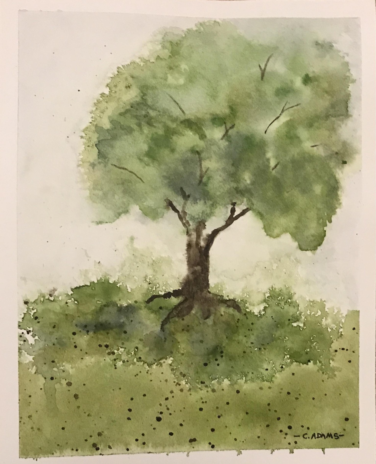 Relaxing Landscape Paintings - image 6 - student project