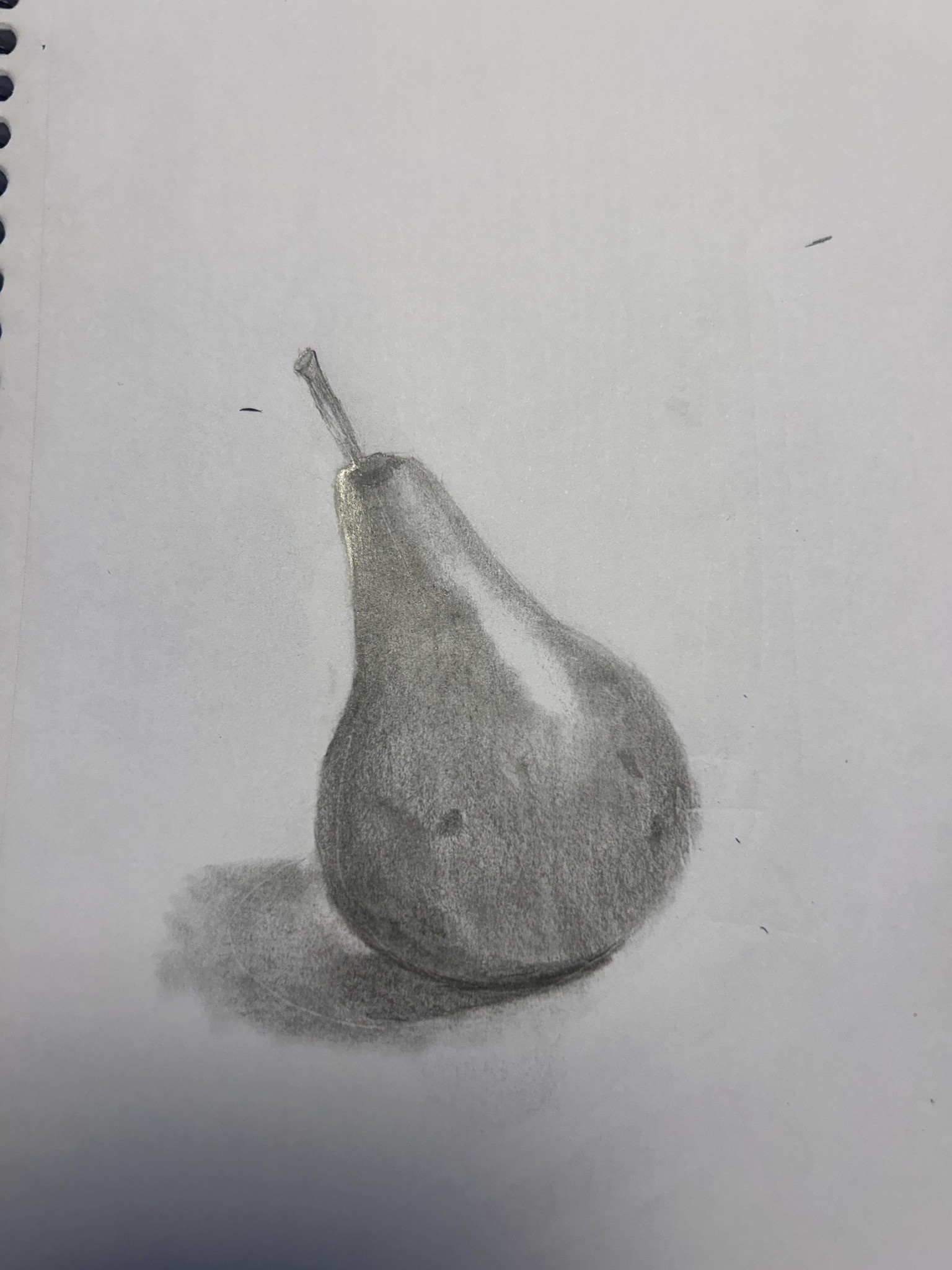 Pera - image 1 - student project