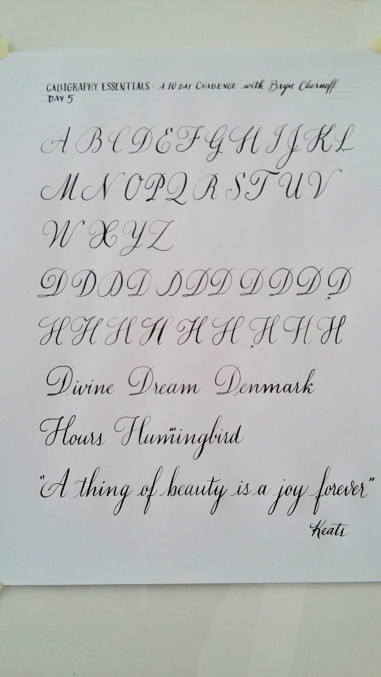 A Challenge to improve (Day 10) - image 7 - student project