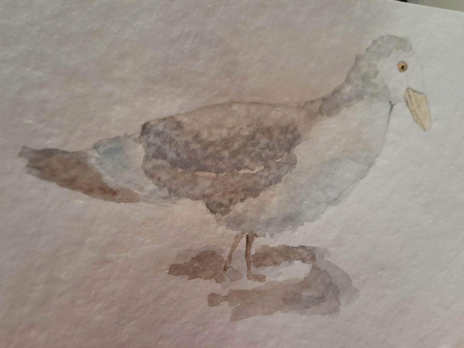 Aves - image 3 - student project