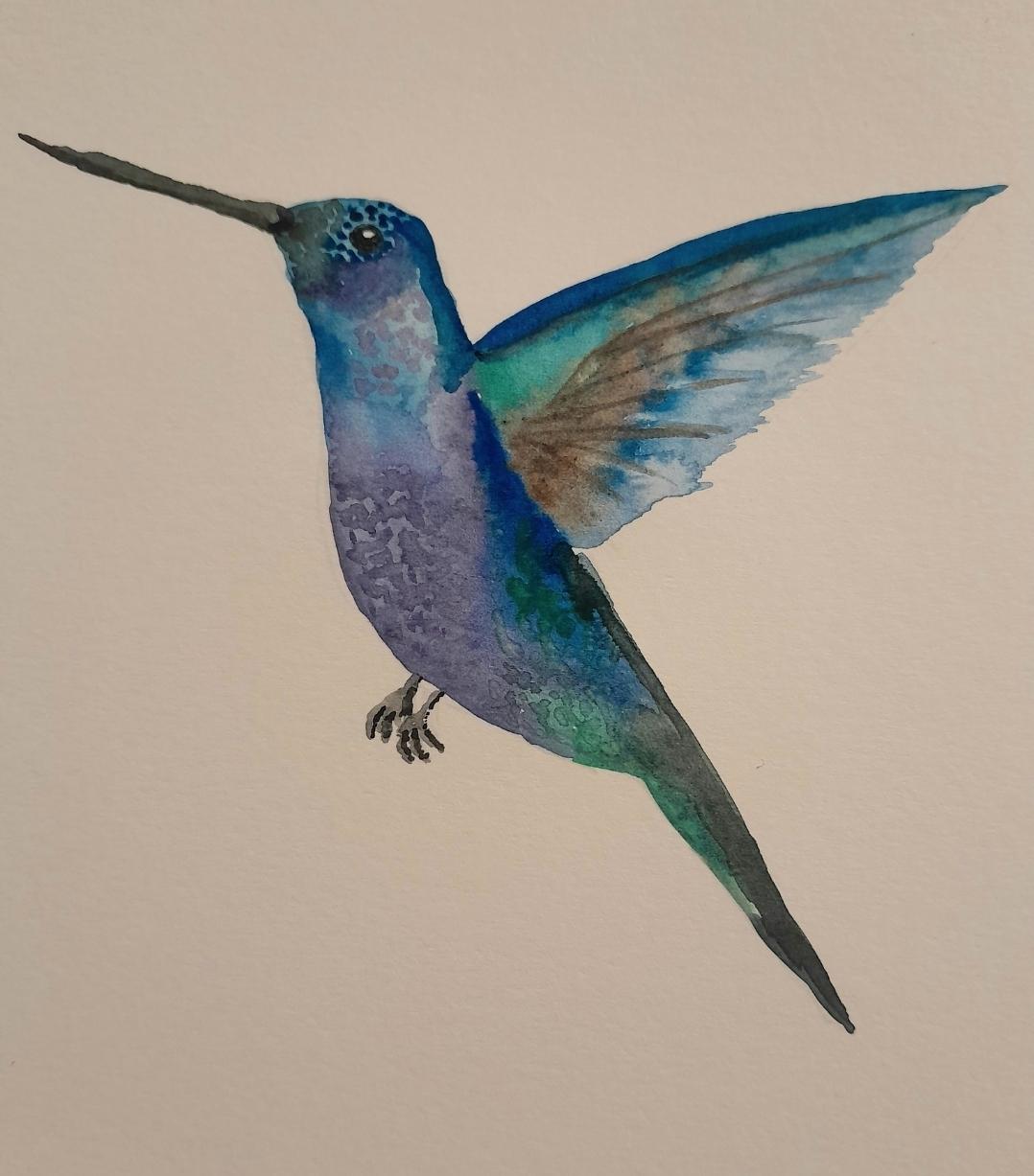 Humming bird - image 1 - student project