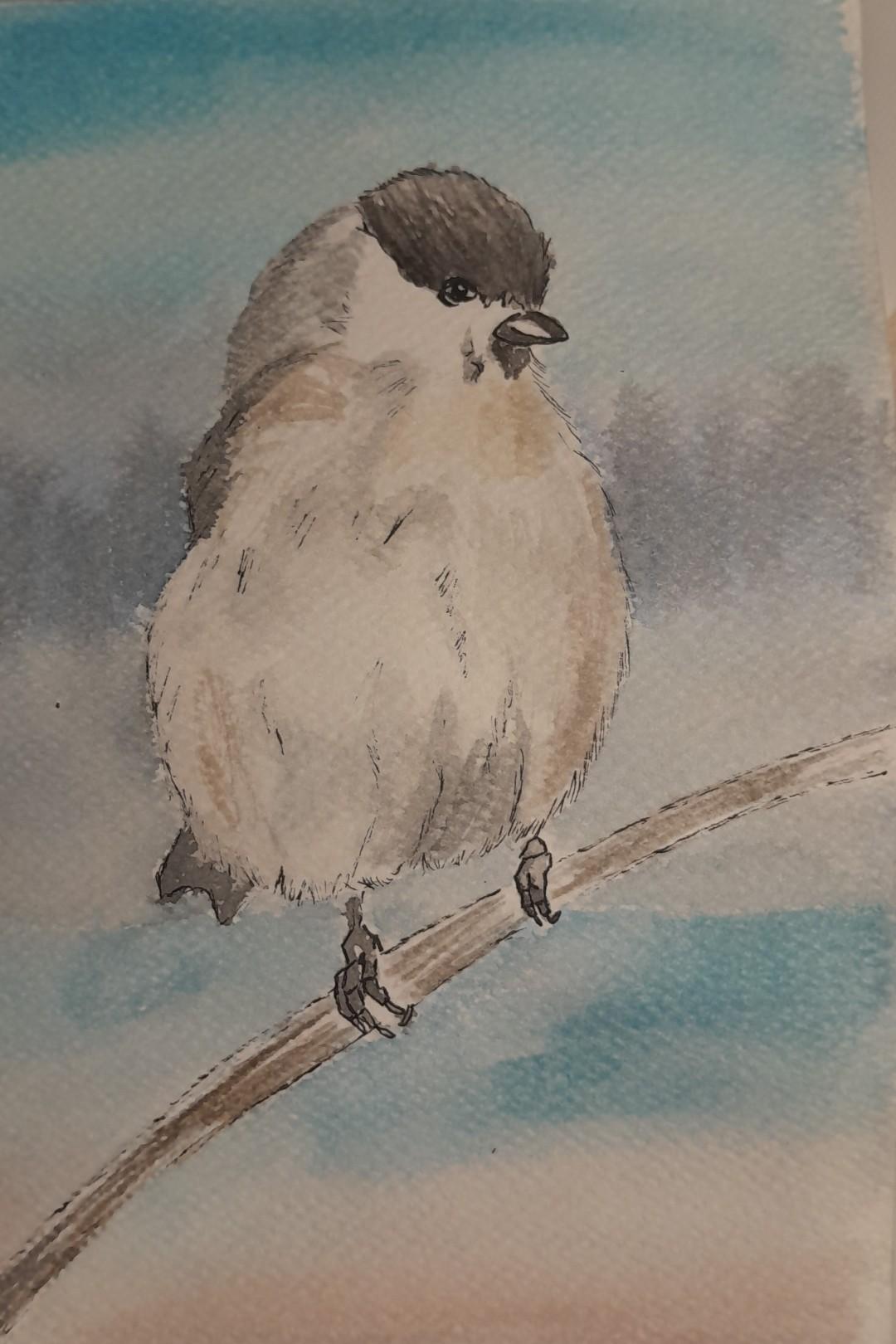 Bird - image 1 - student project
