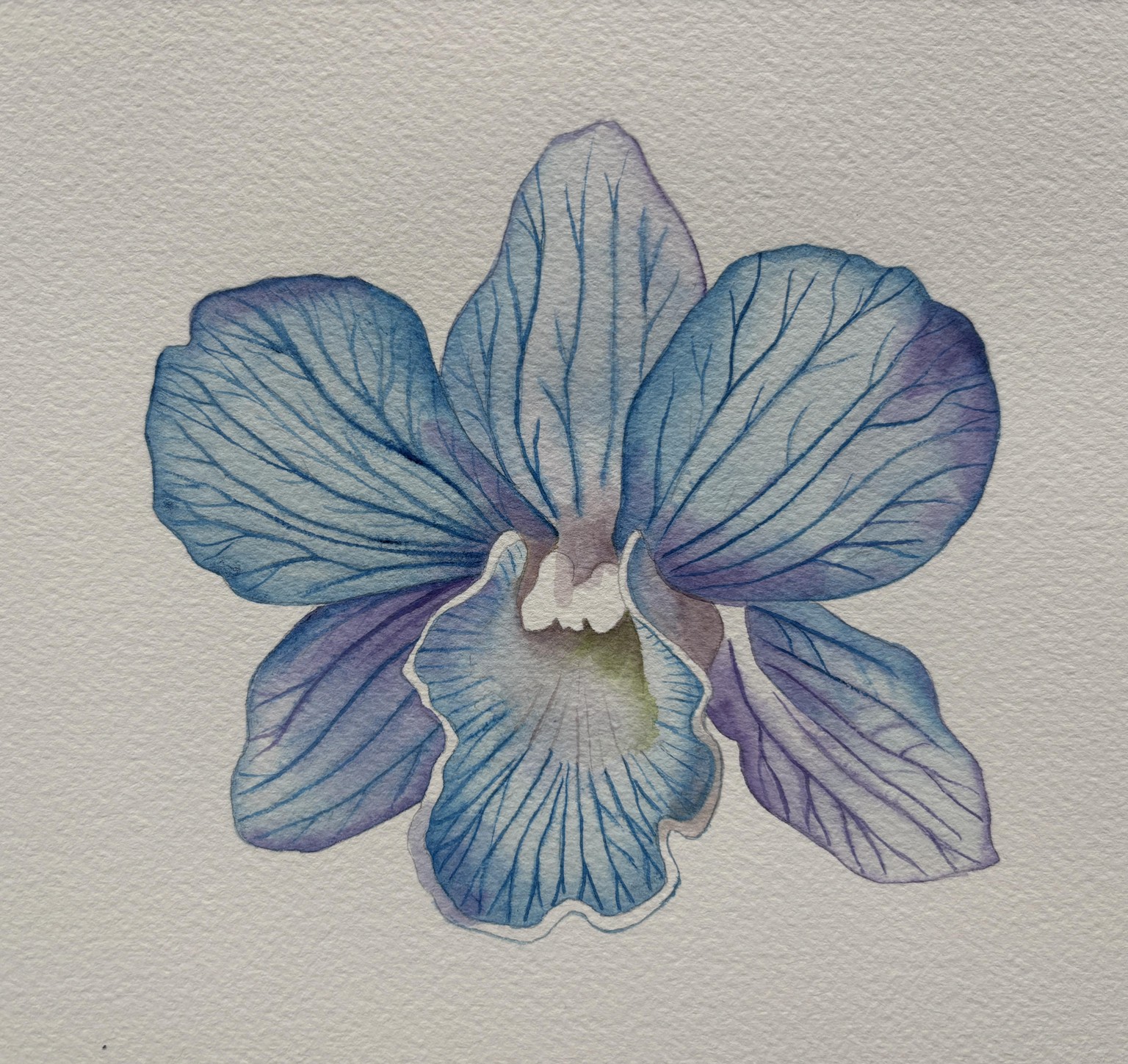 Three Orchids - image 2 - student project