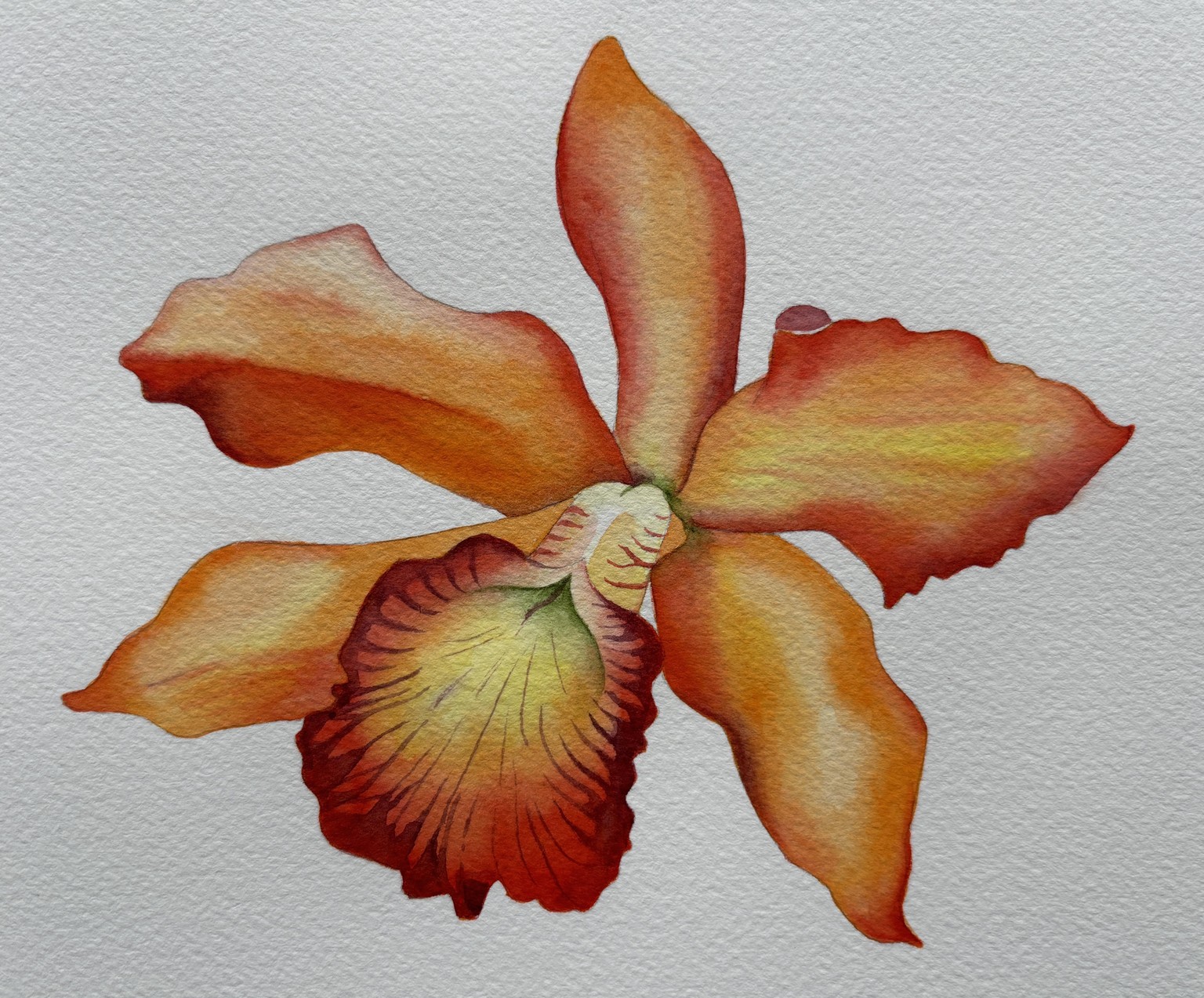 Three Orchids - image 1 - student project