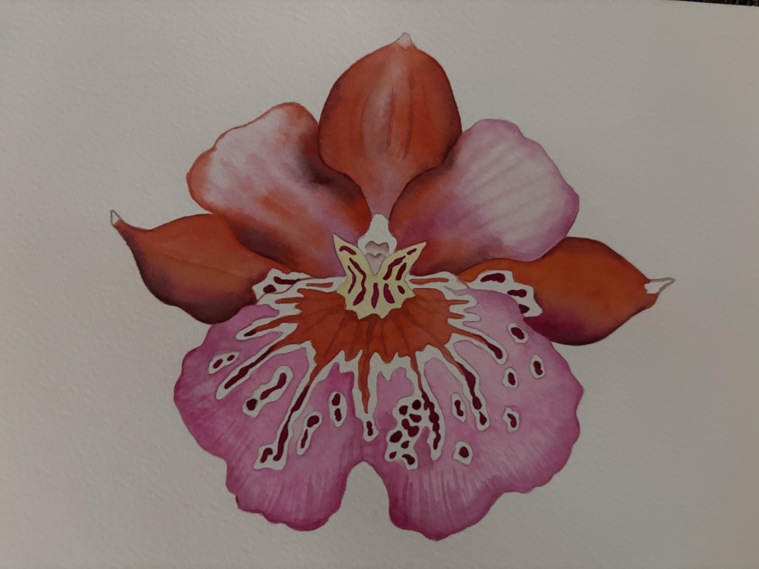 Three Orchids - image 3 - student project