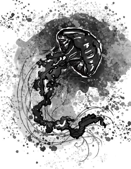 JellyInk and DoubleJelly - image 2 - student project
