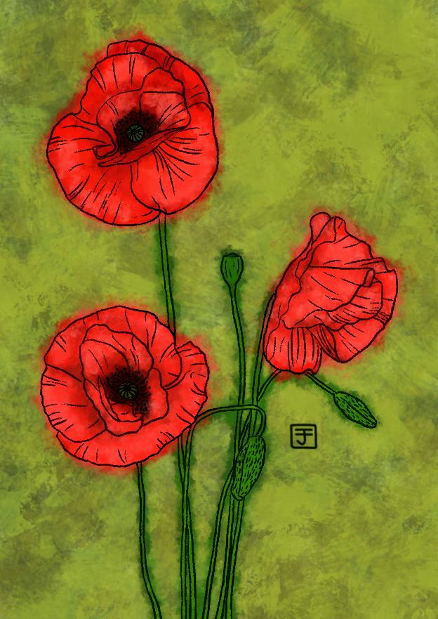 Red poppy - image 1 - student project