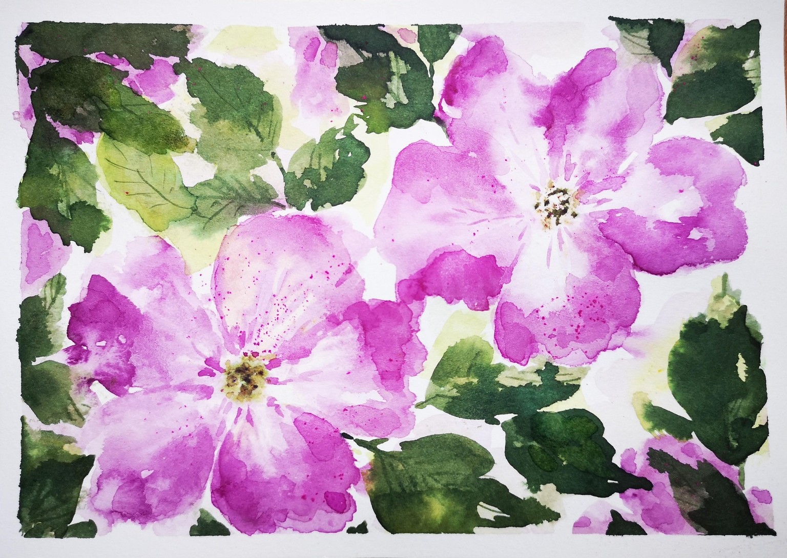 Beach roses - Rosa Rugosa - image 1 - student project