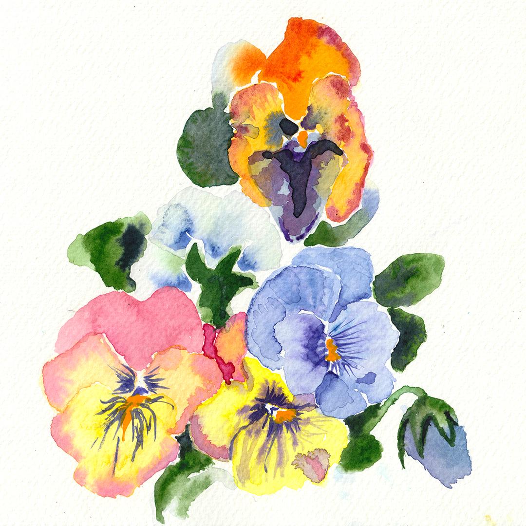Floral Practice In Watercolor - image 3 - student project