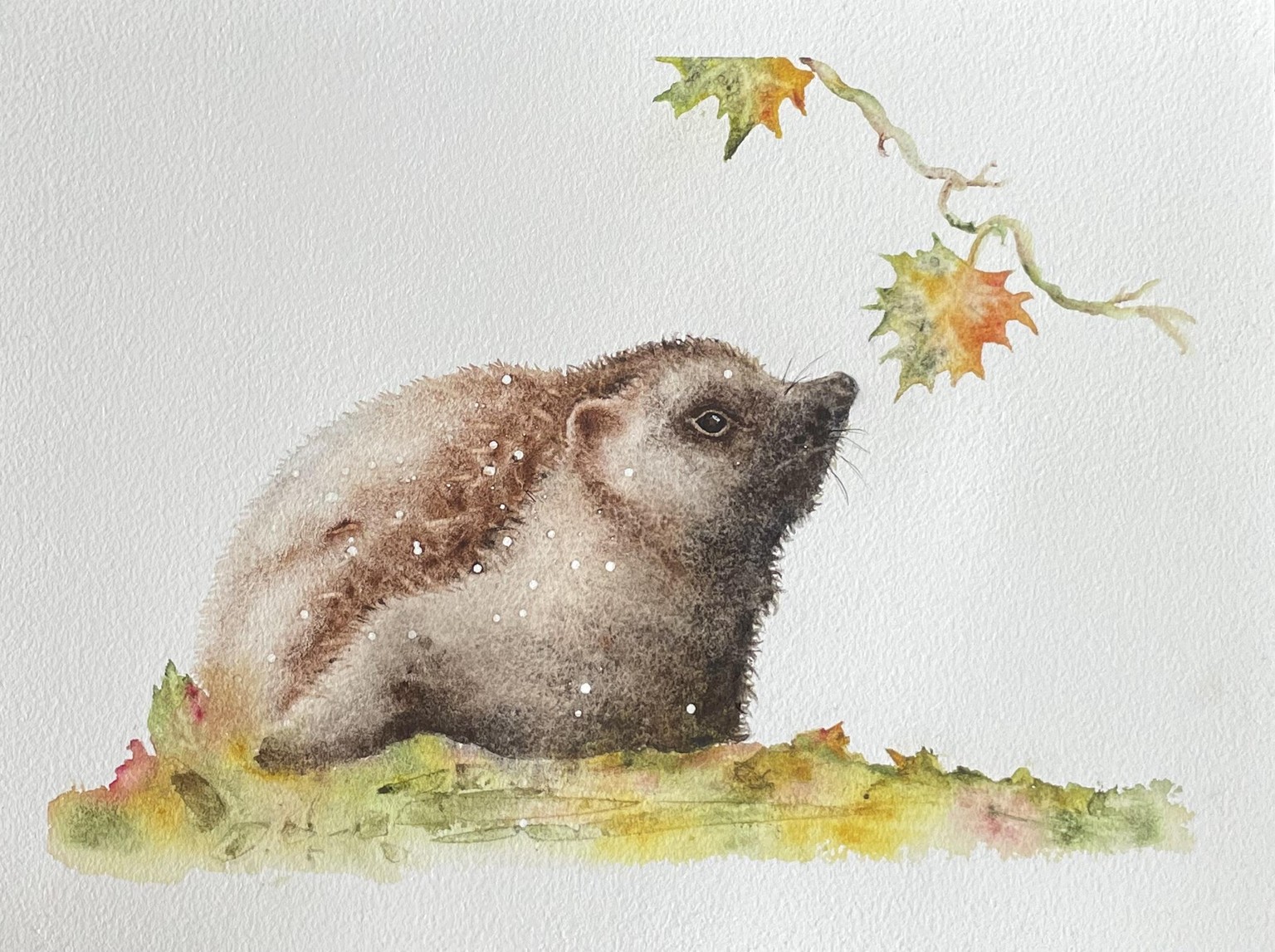 Hedgehog - image 1 - student project