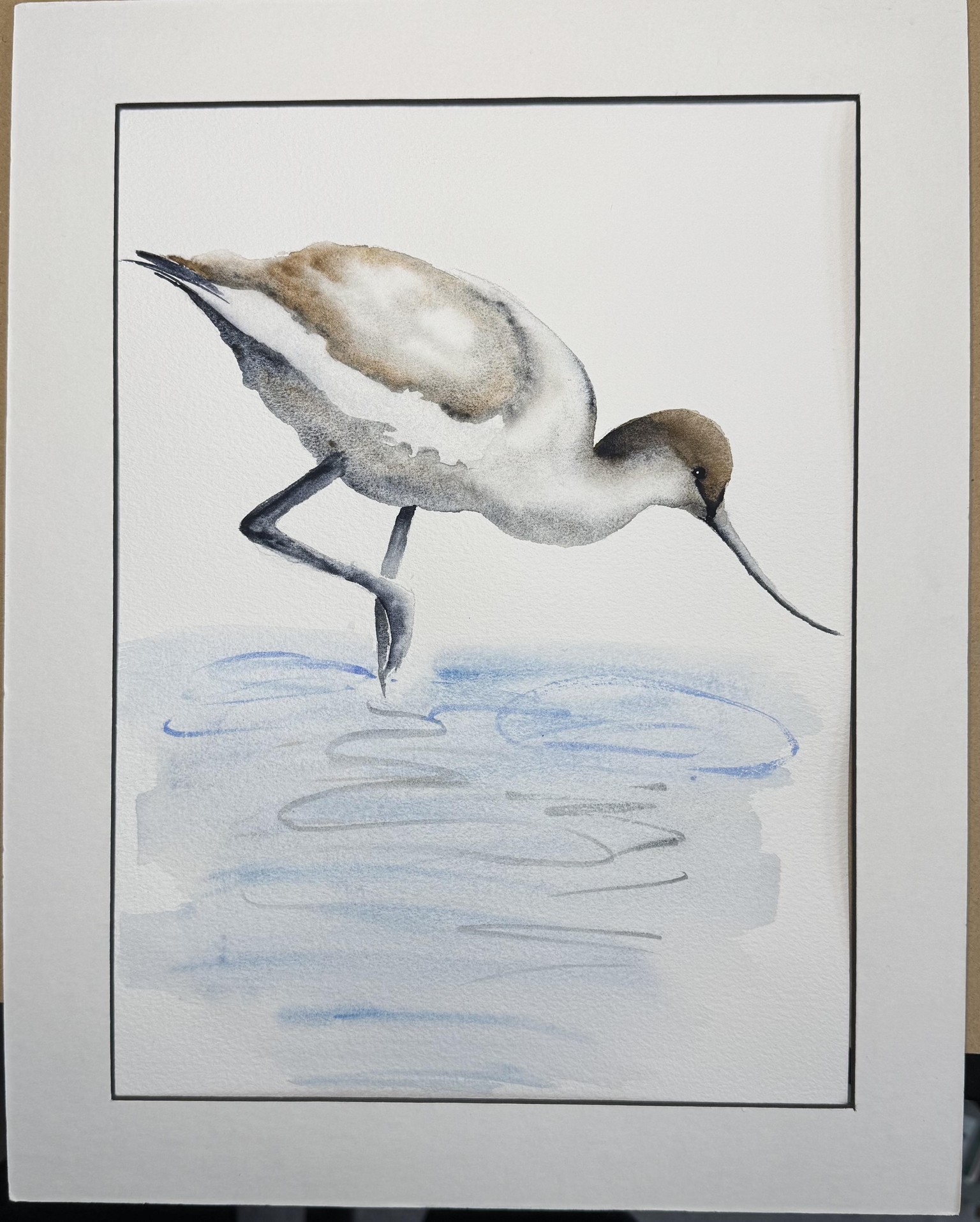 Avocet - image 1 - student project