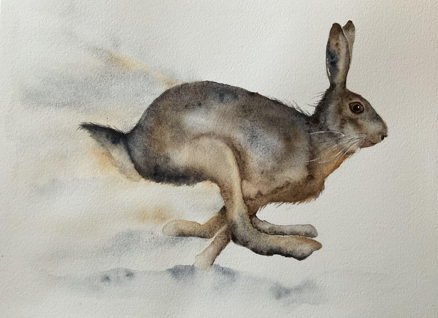 Galloping hare - image 1 - student project