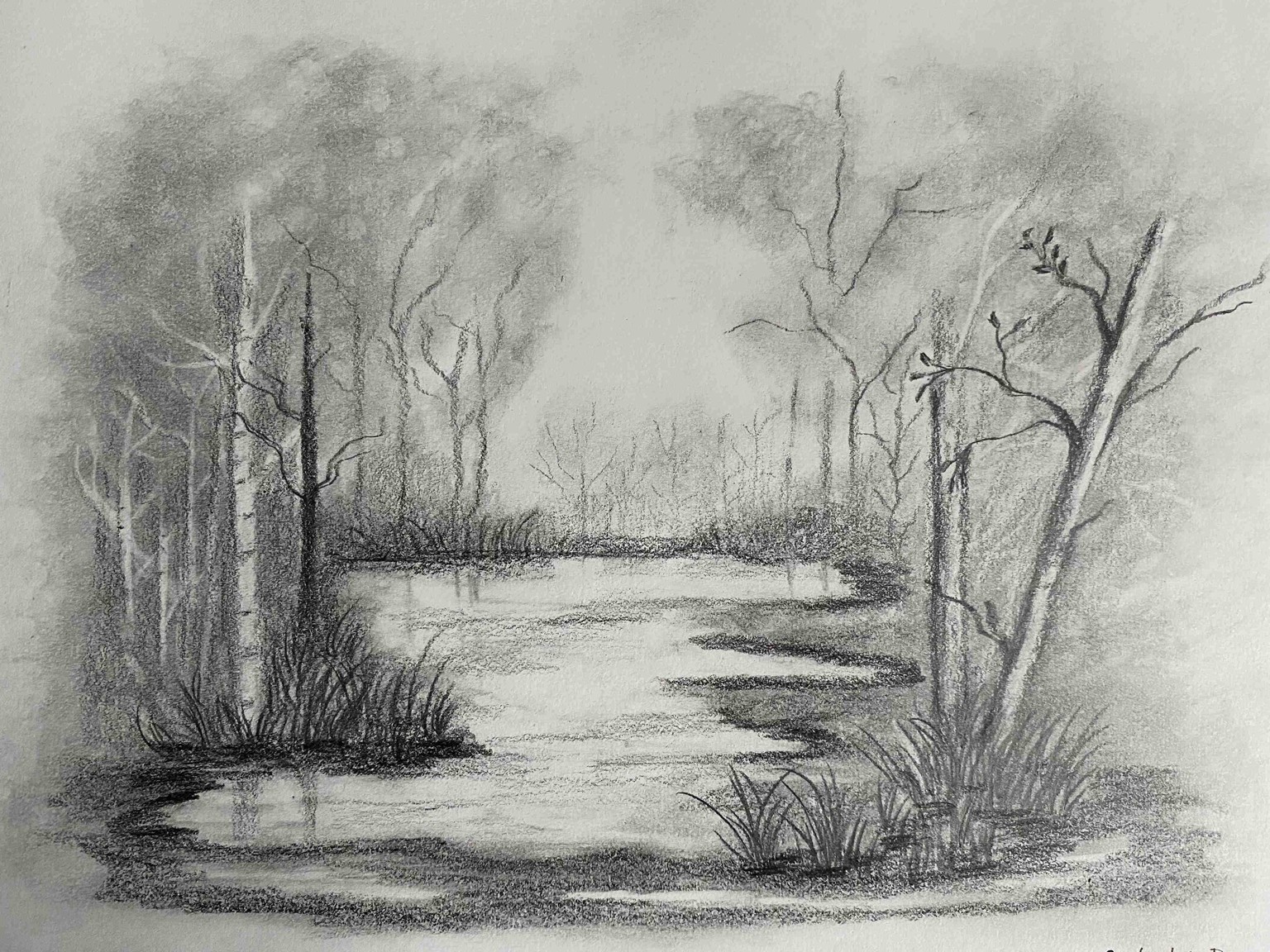 My Very First Graphite Drawing - image 1 - student project