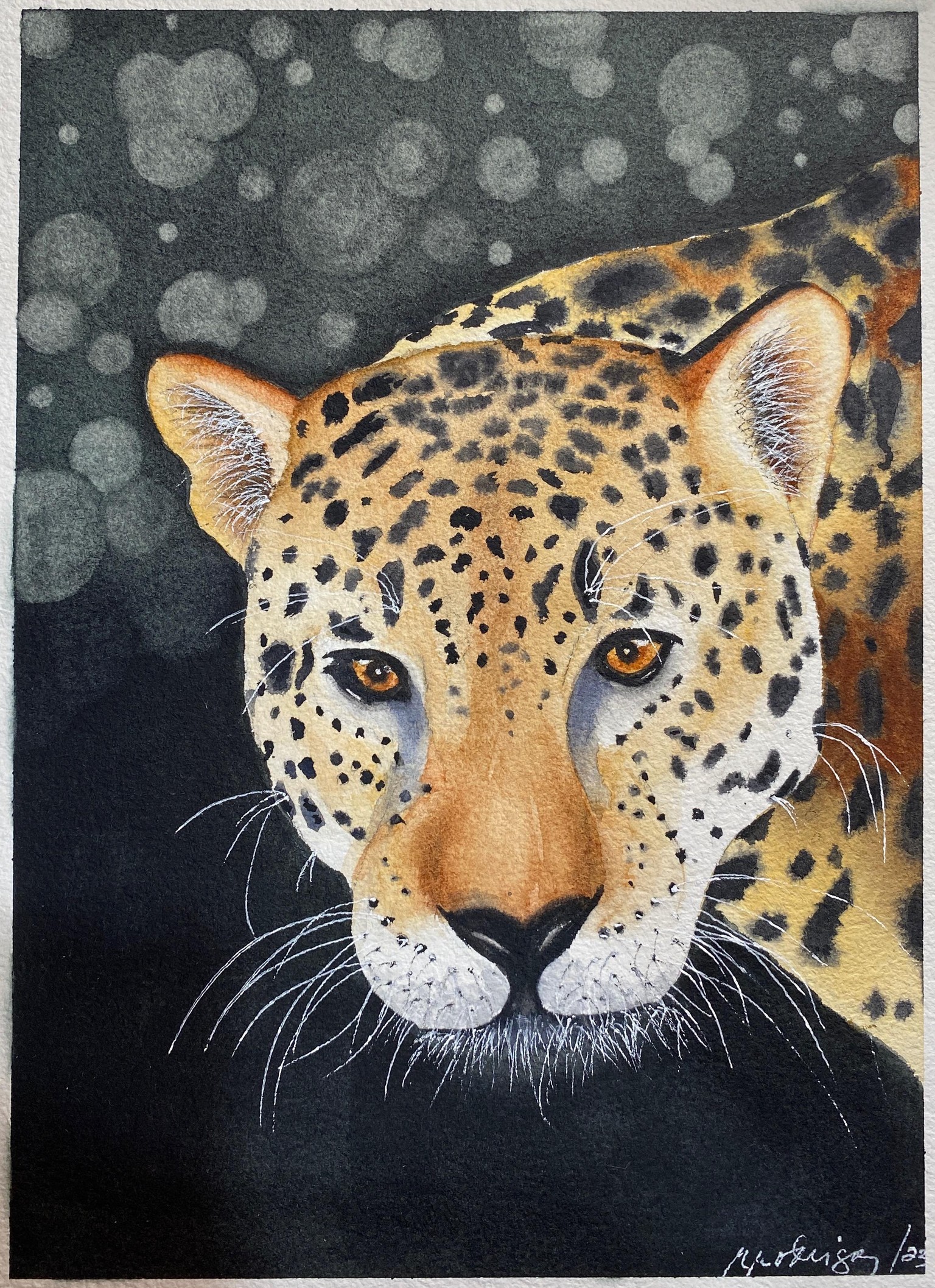 My Jaguar - image 1 - student project