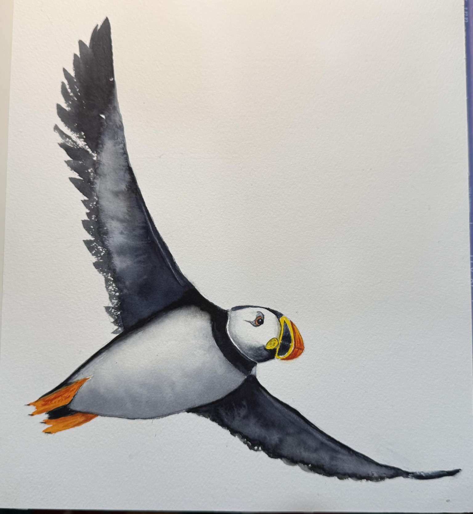 Flying Puffin - image 1 - student project