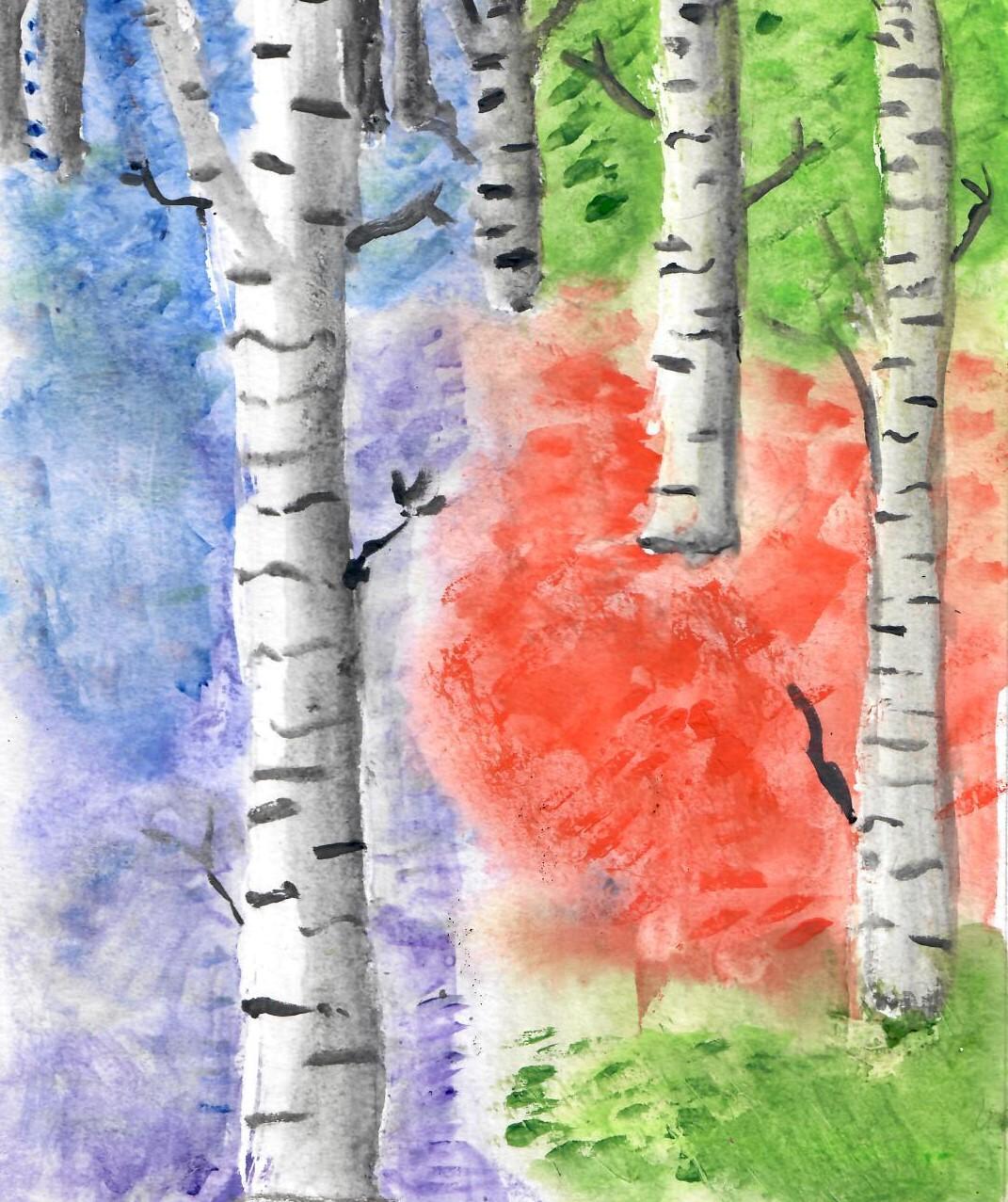 Okay Birch Trees - image 1 - student project