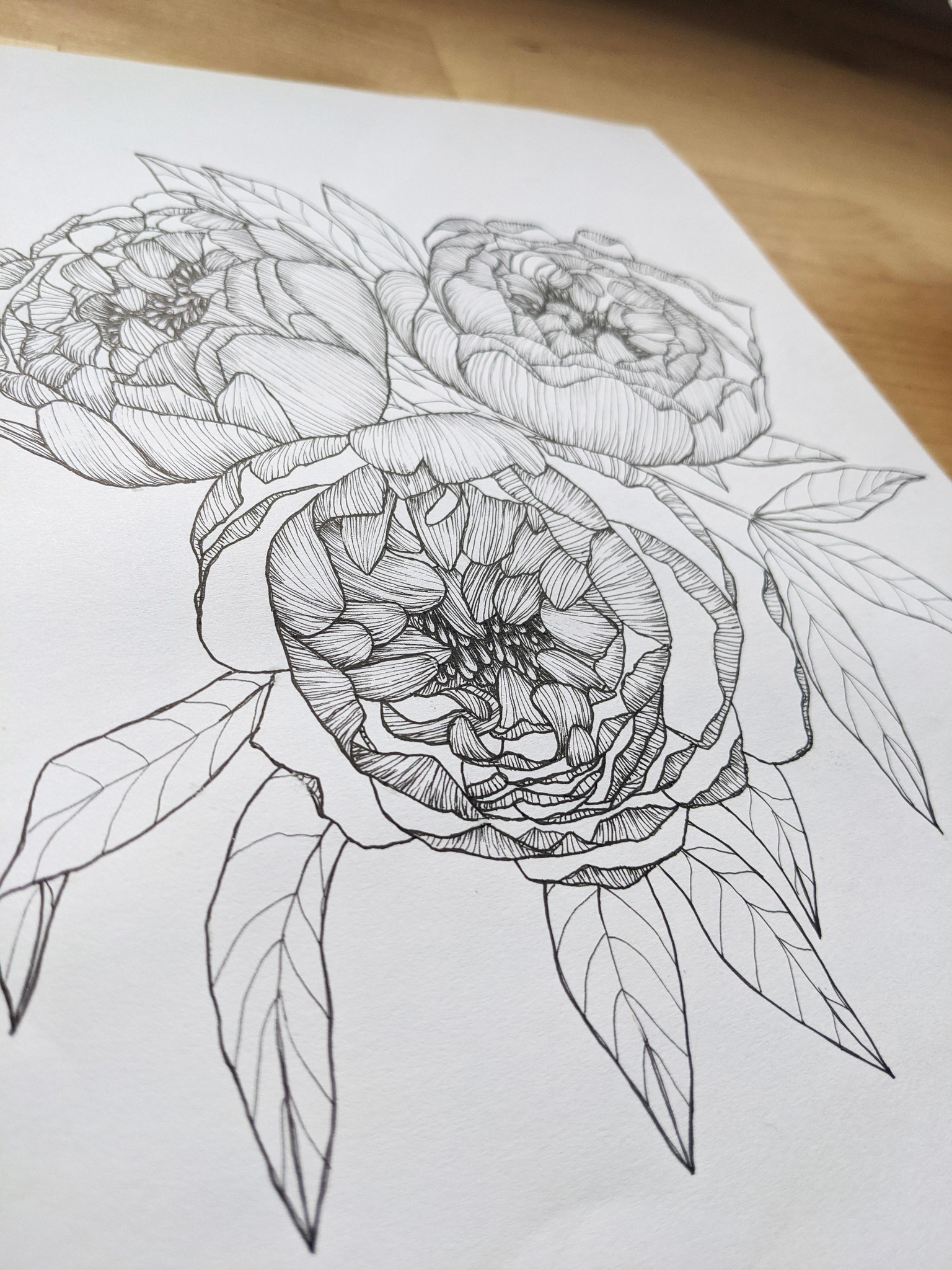 Line art peonies in 2 styles :) - image 5 - student project