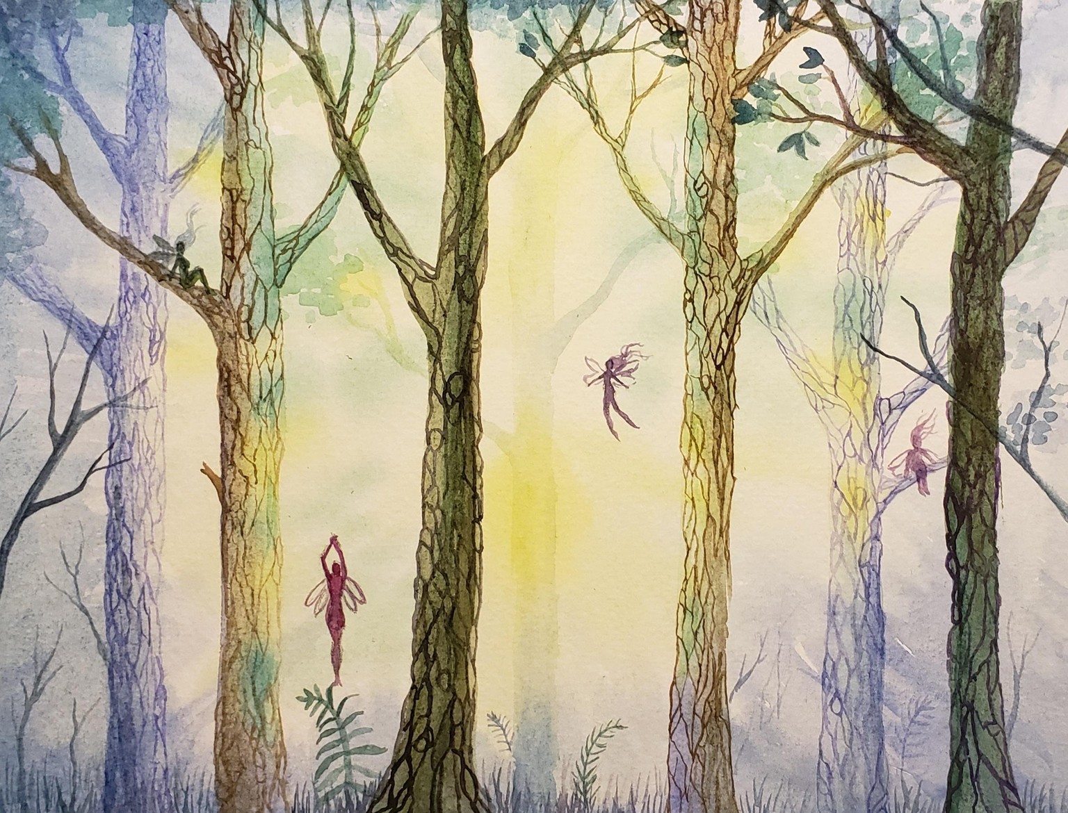 Misty forest - image 1 - student project