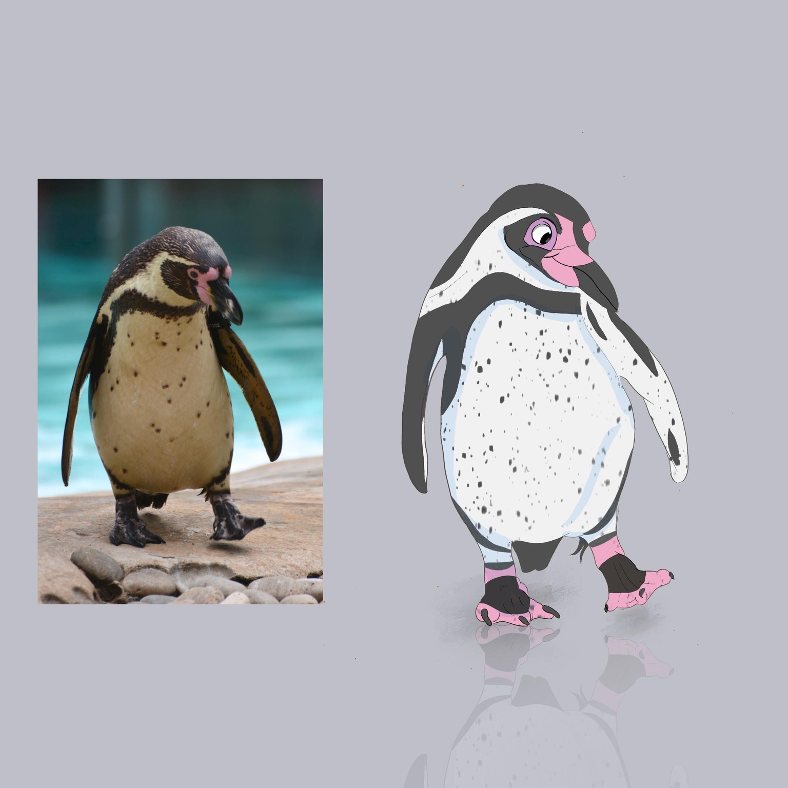 Pengwang - image 1 - student project