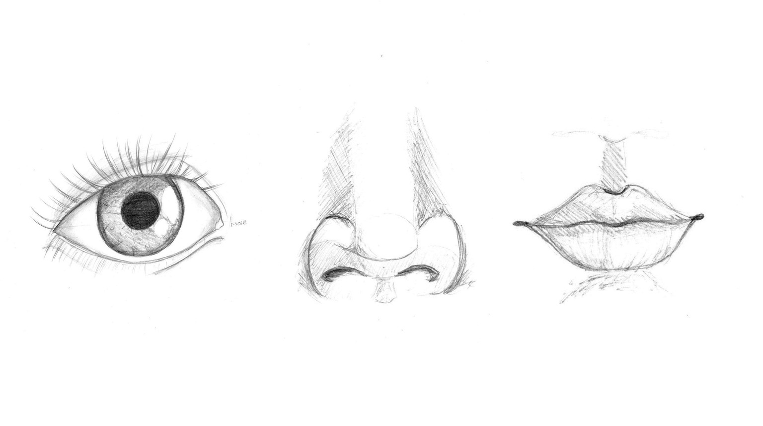 Fresh start - image 3 - student project
