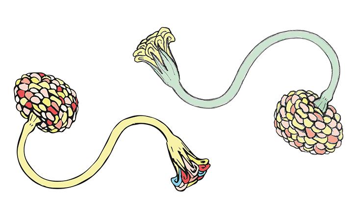 From drawn pattern to Illustrator pattern - image 5 - student project