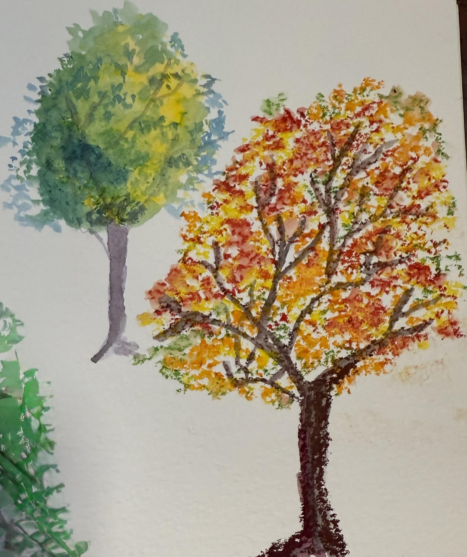 Abundance in growth - image 1 - student project