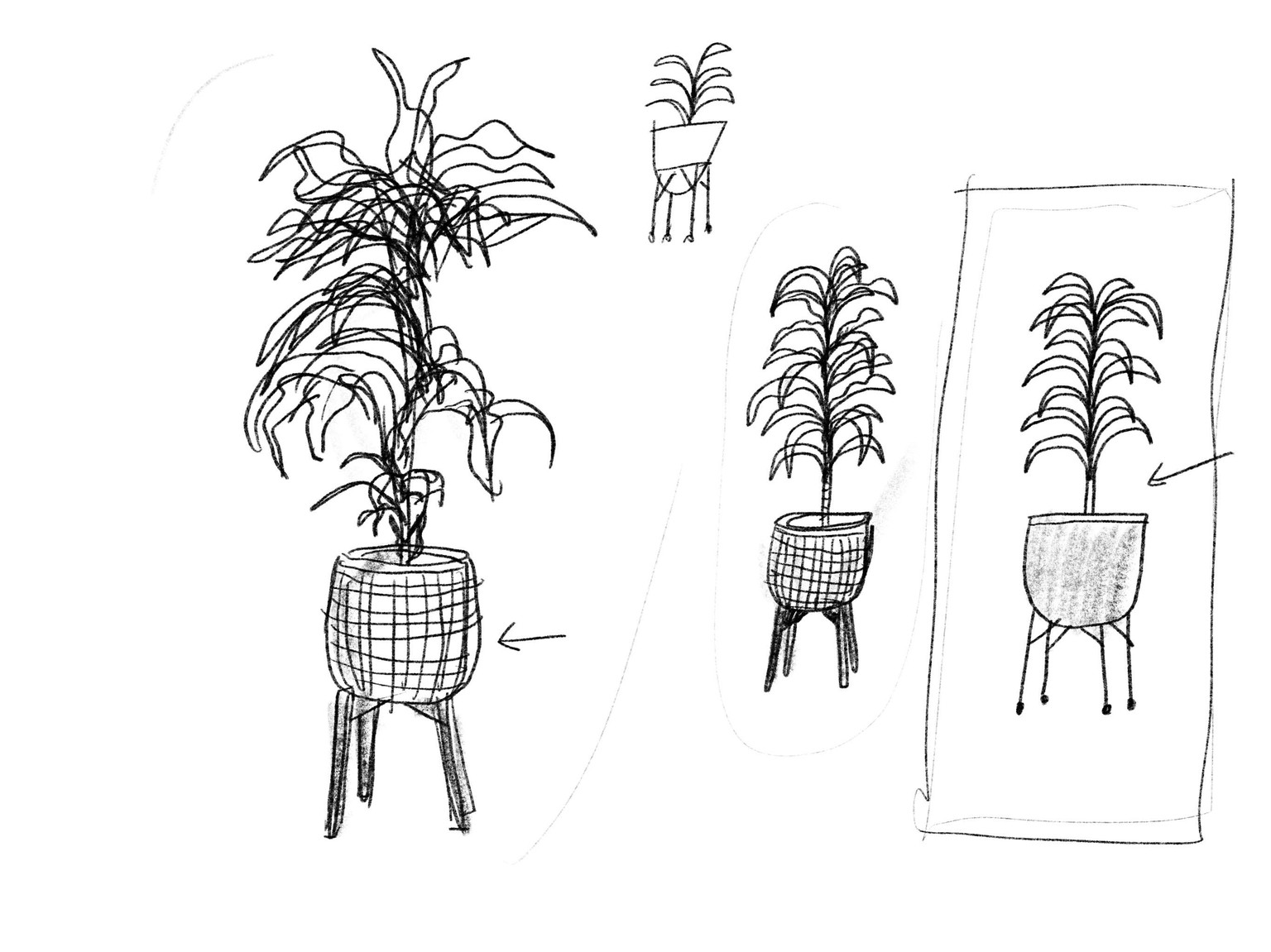 Tom's Drawings! - image 3 - student project