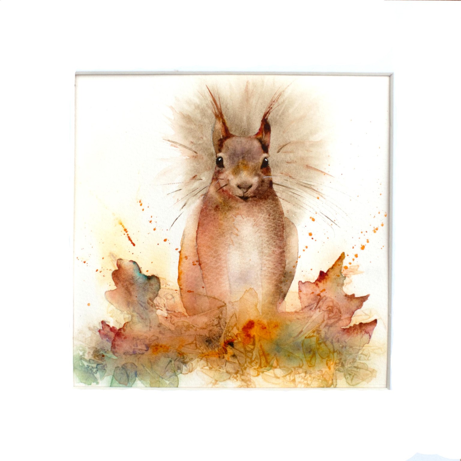 Sidney the Red Squirrel - image 1 - student project