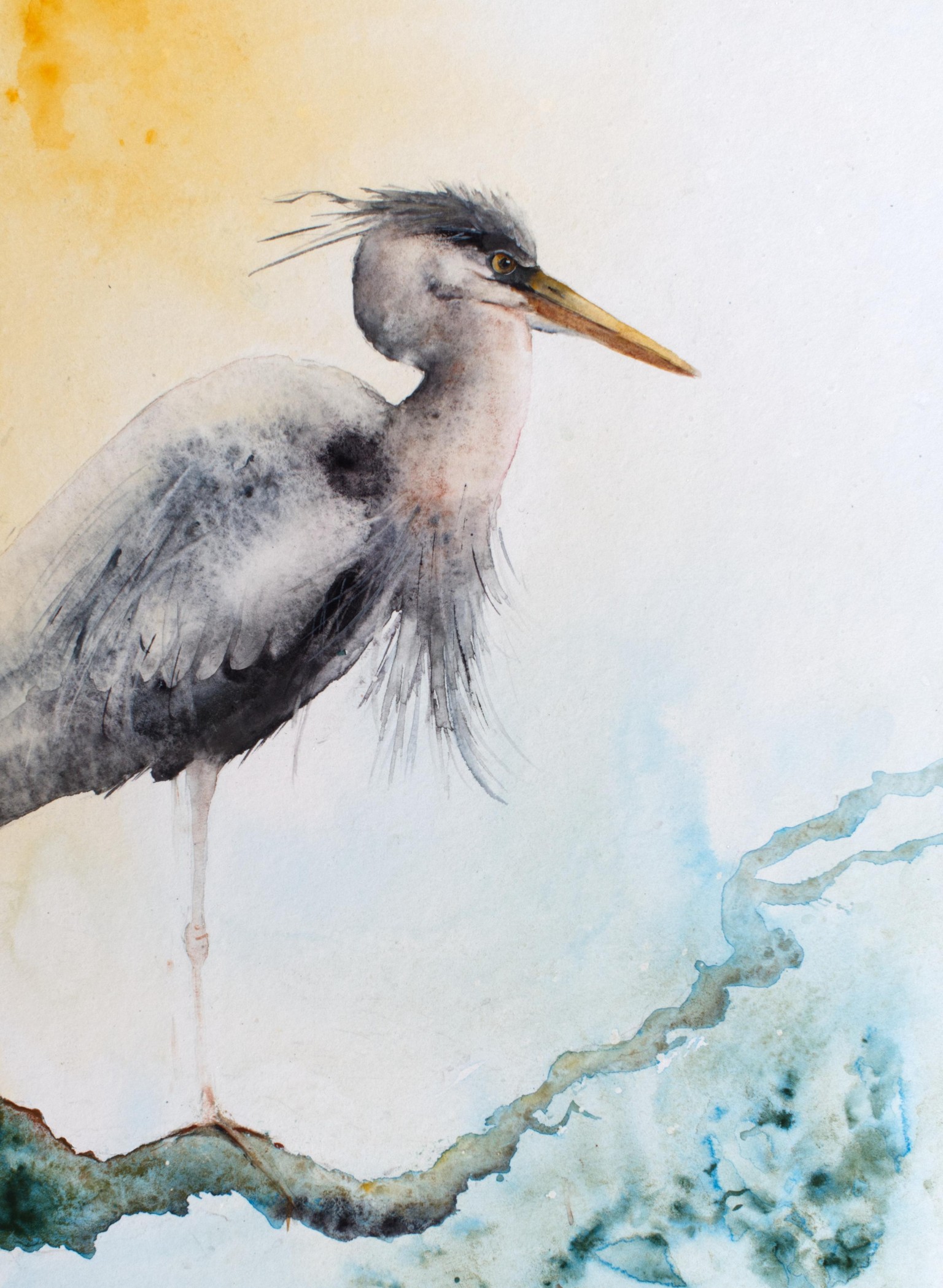 Heron - image 1 - student project