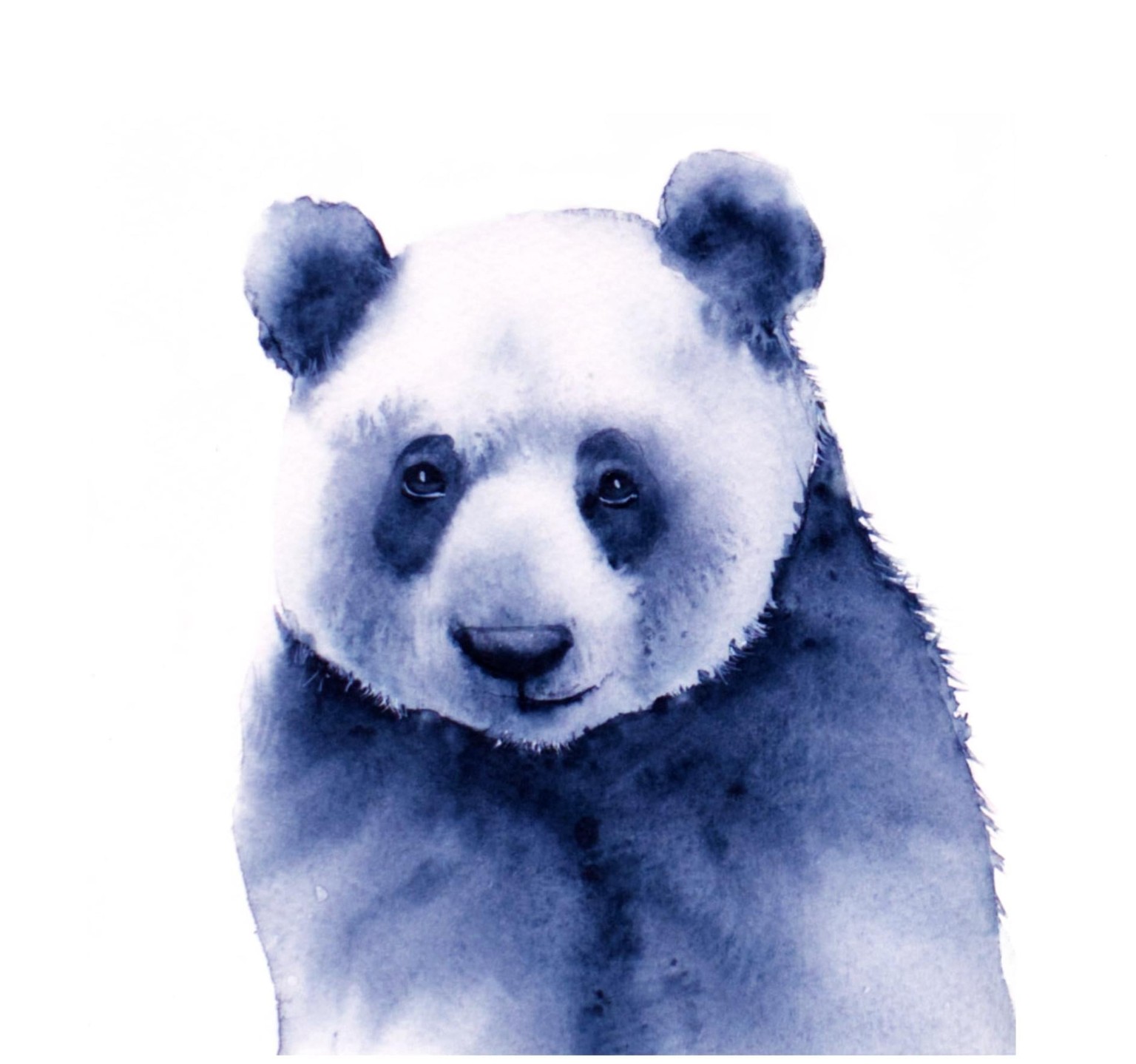 Panda - image 1 - student project