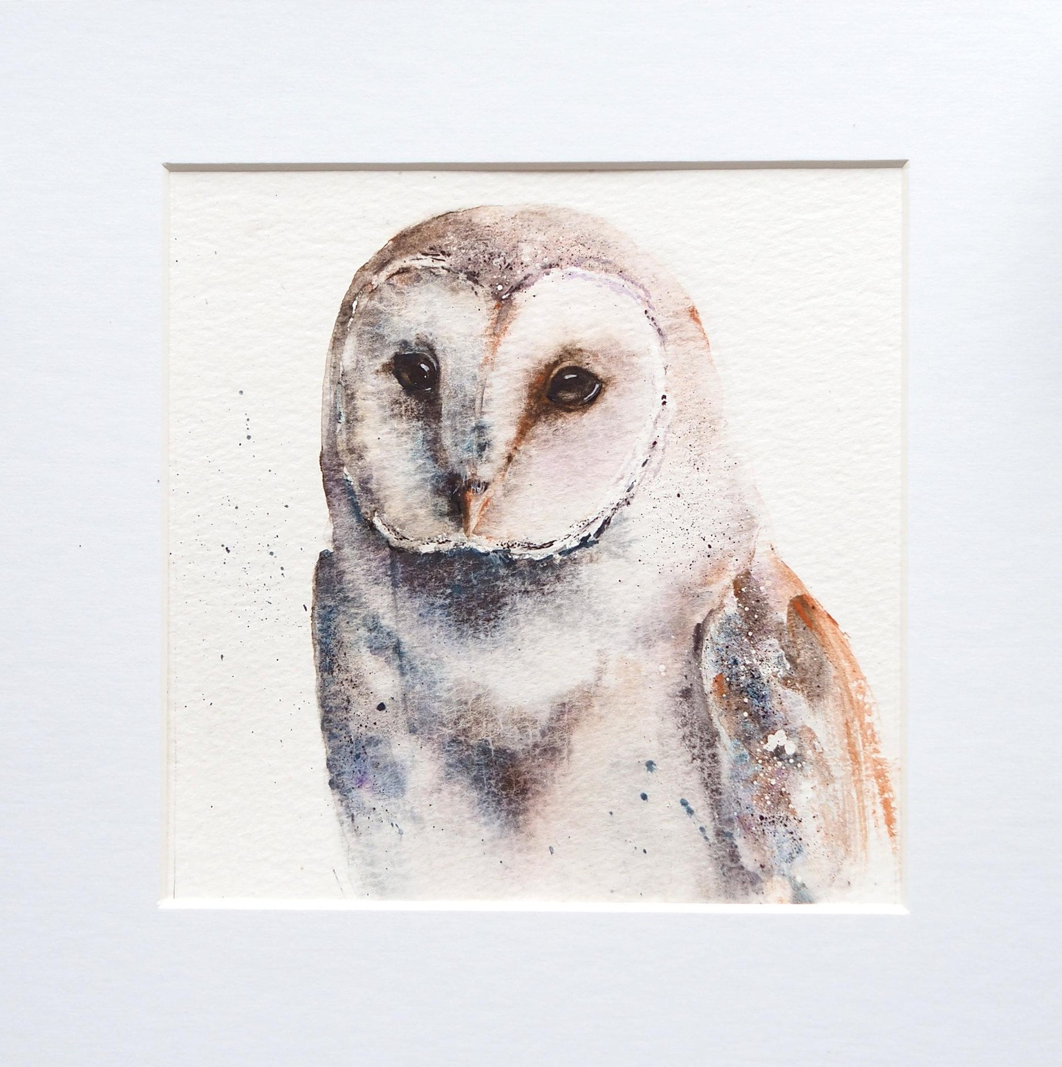 Barn Owl - image 1 - student project