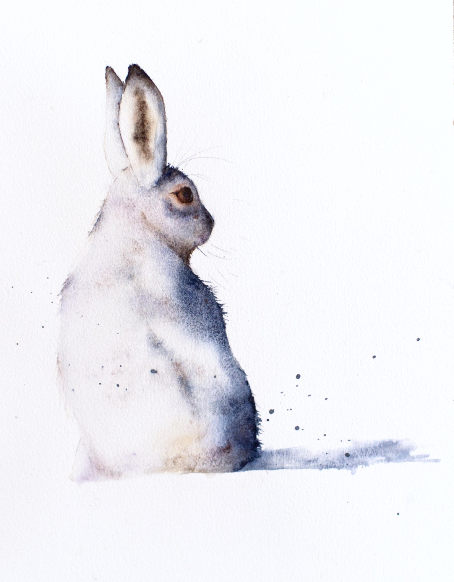 Snow Hare - image 1 - student project