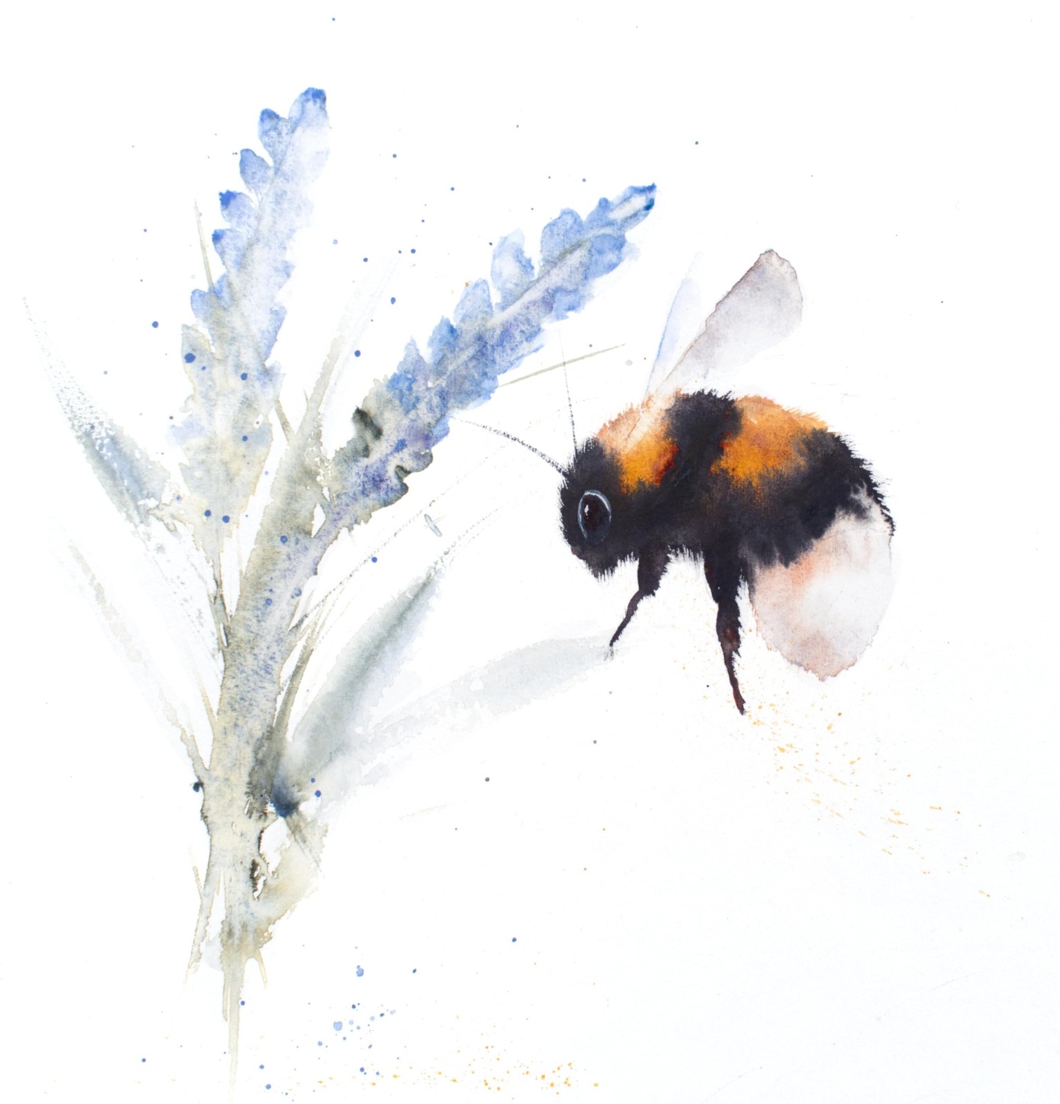 Bumblebee and Lavender - image 1 - student project