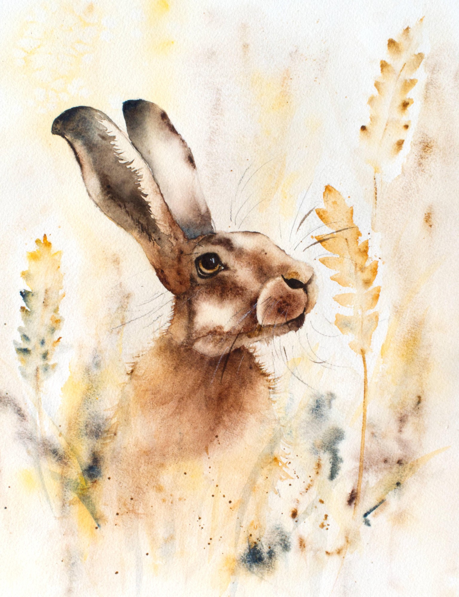 Hare in the corn - image 1 - student project