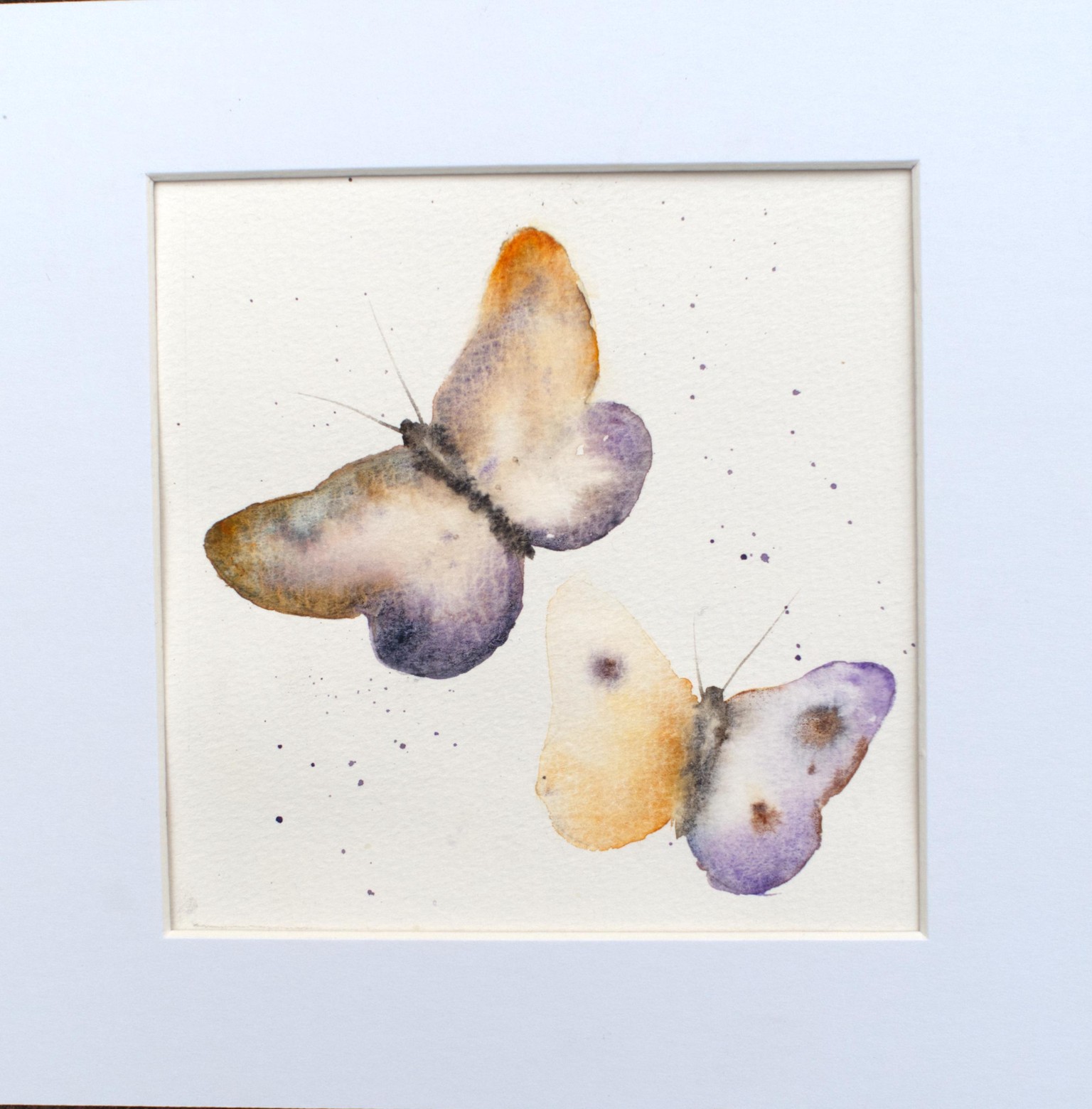 Butterflies - image 1 - student project
