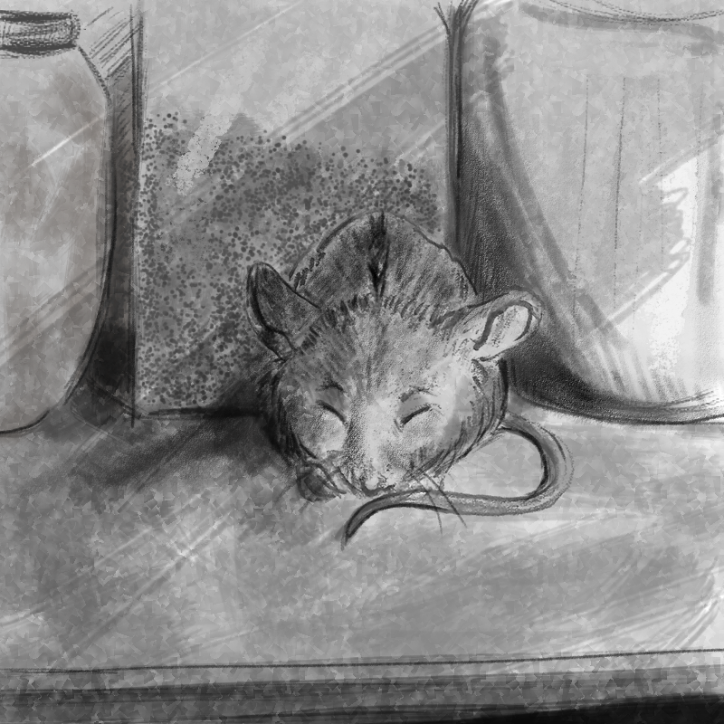 Illustrating Children's Books (and beyond!) - image 3 - student project