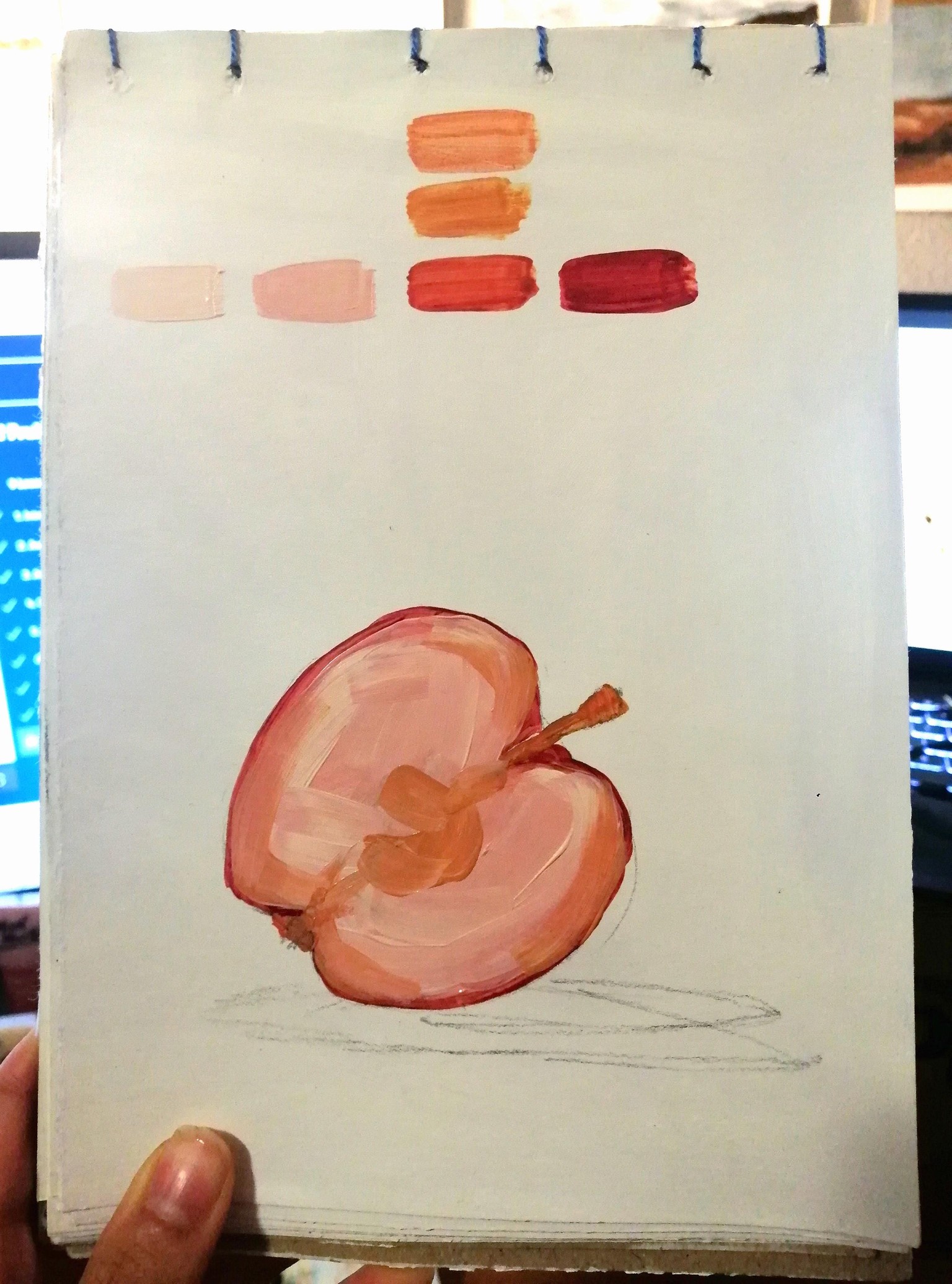Fruit and Veg Studies in Acrylic - image 8 - student project