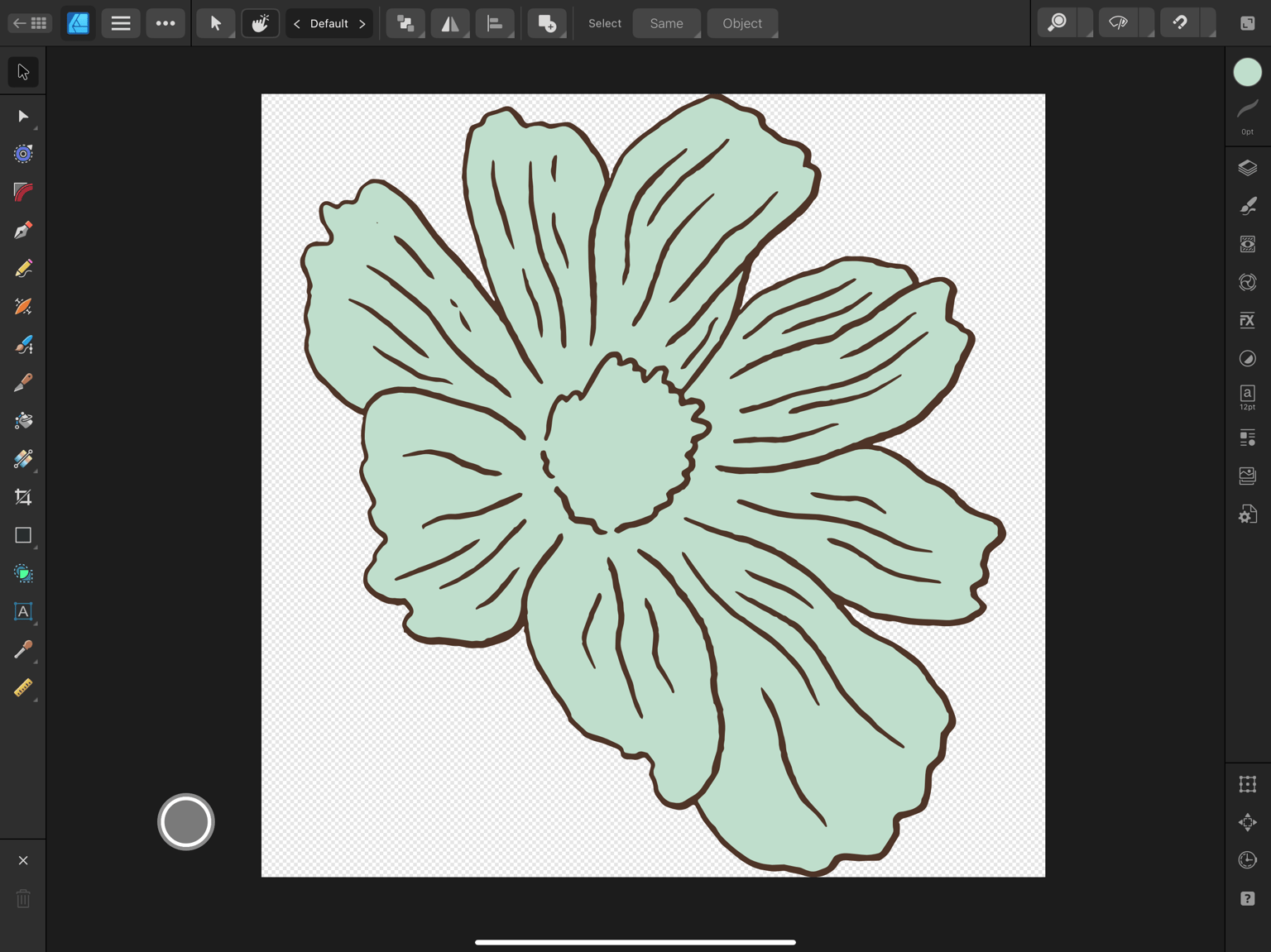 First Time Using Affinity - image 2 - student project