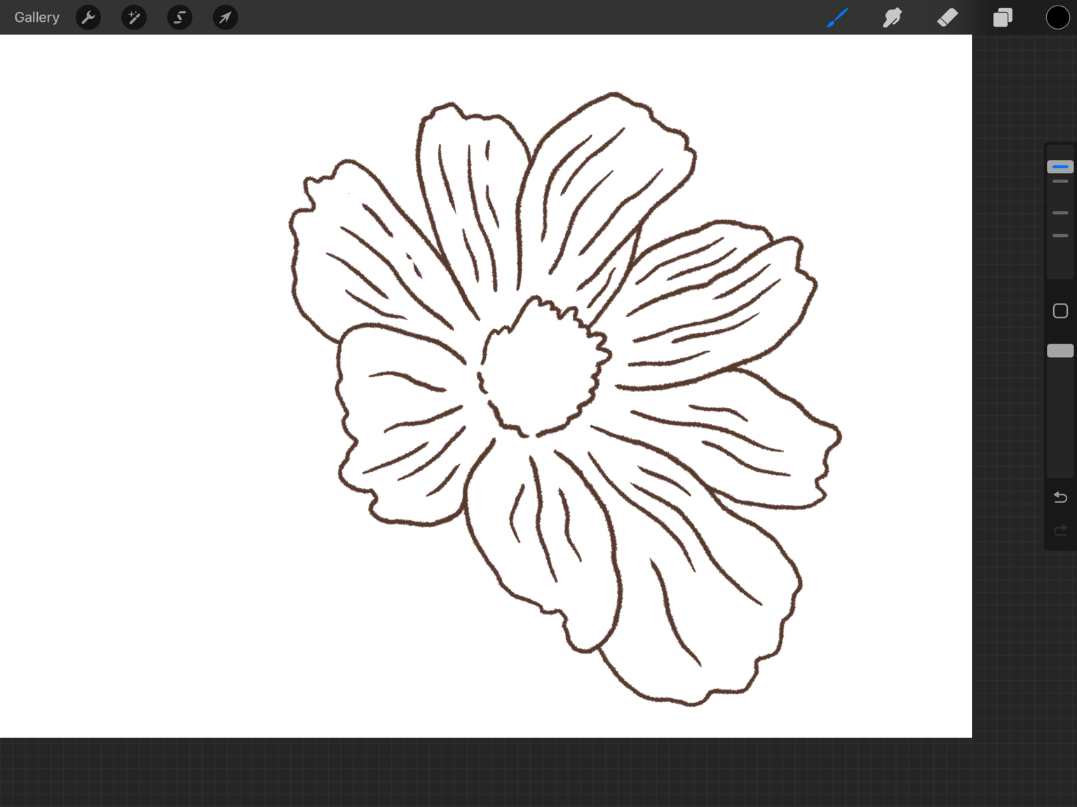 First Time Using Affinity - image 1 - student project