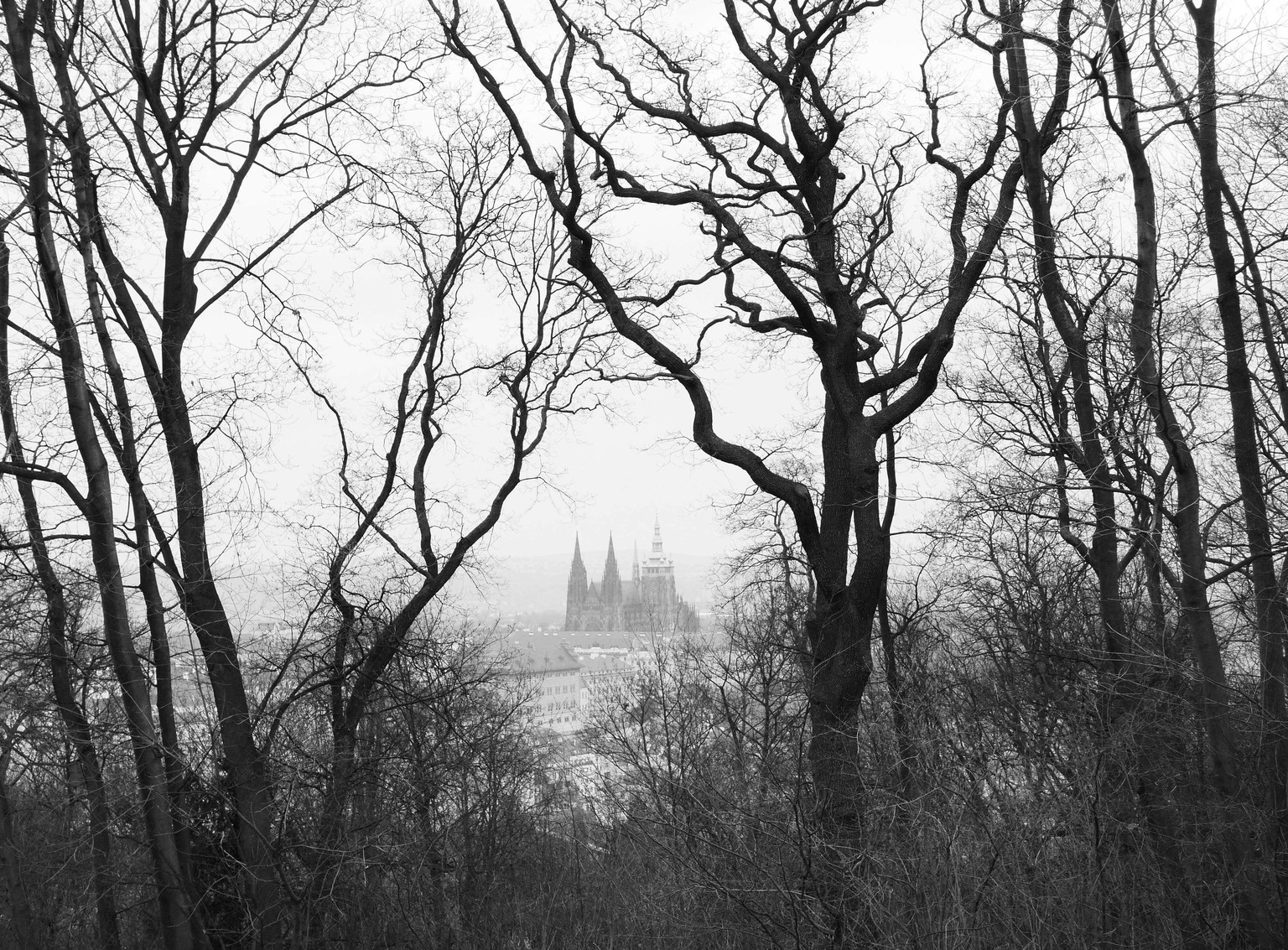 Wandering in Prague - image 5 - student project
