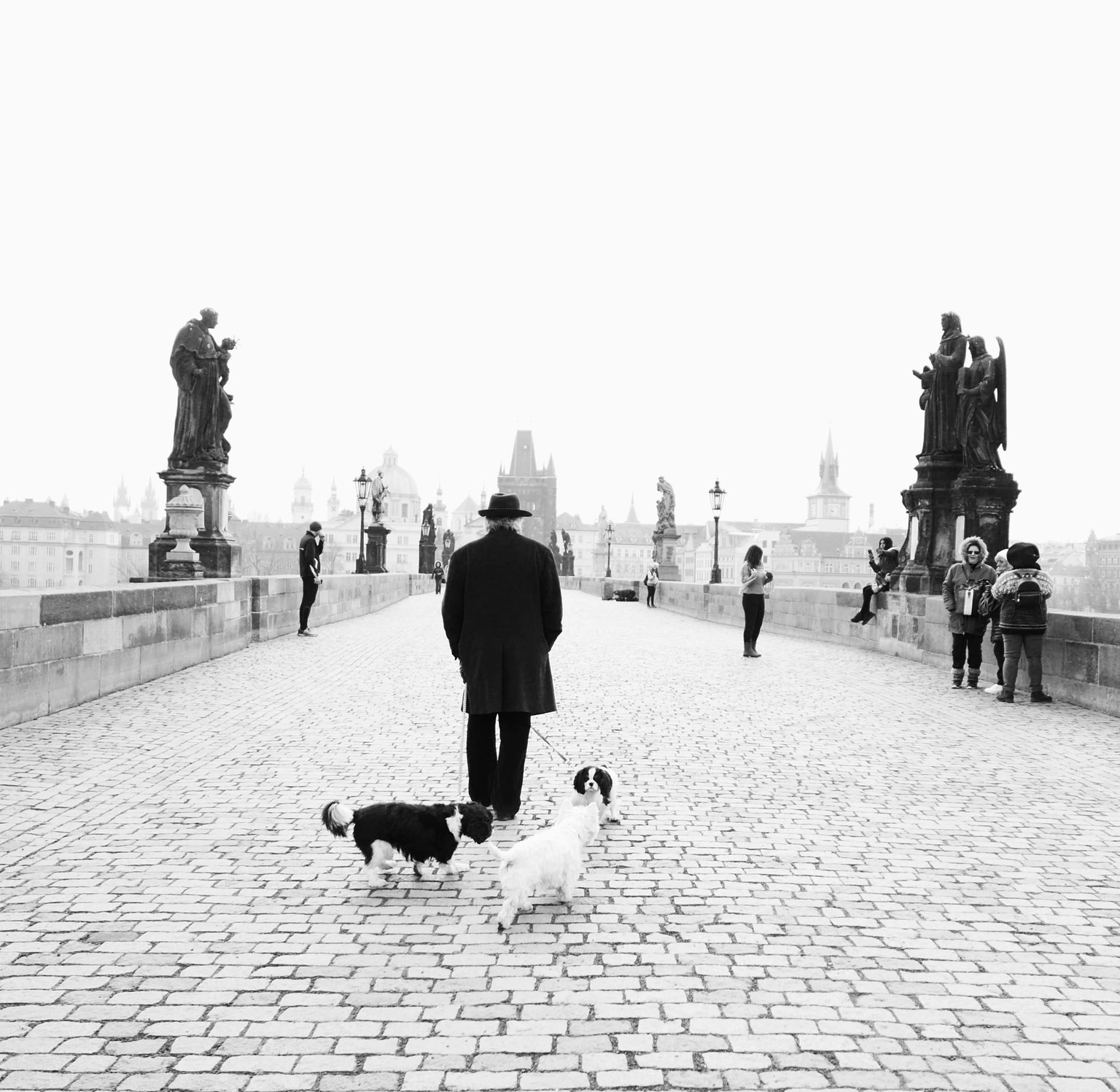 Wandering in Prague - image 4 - student project
