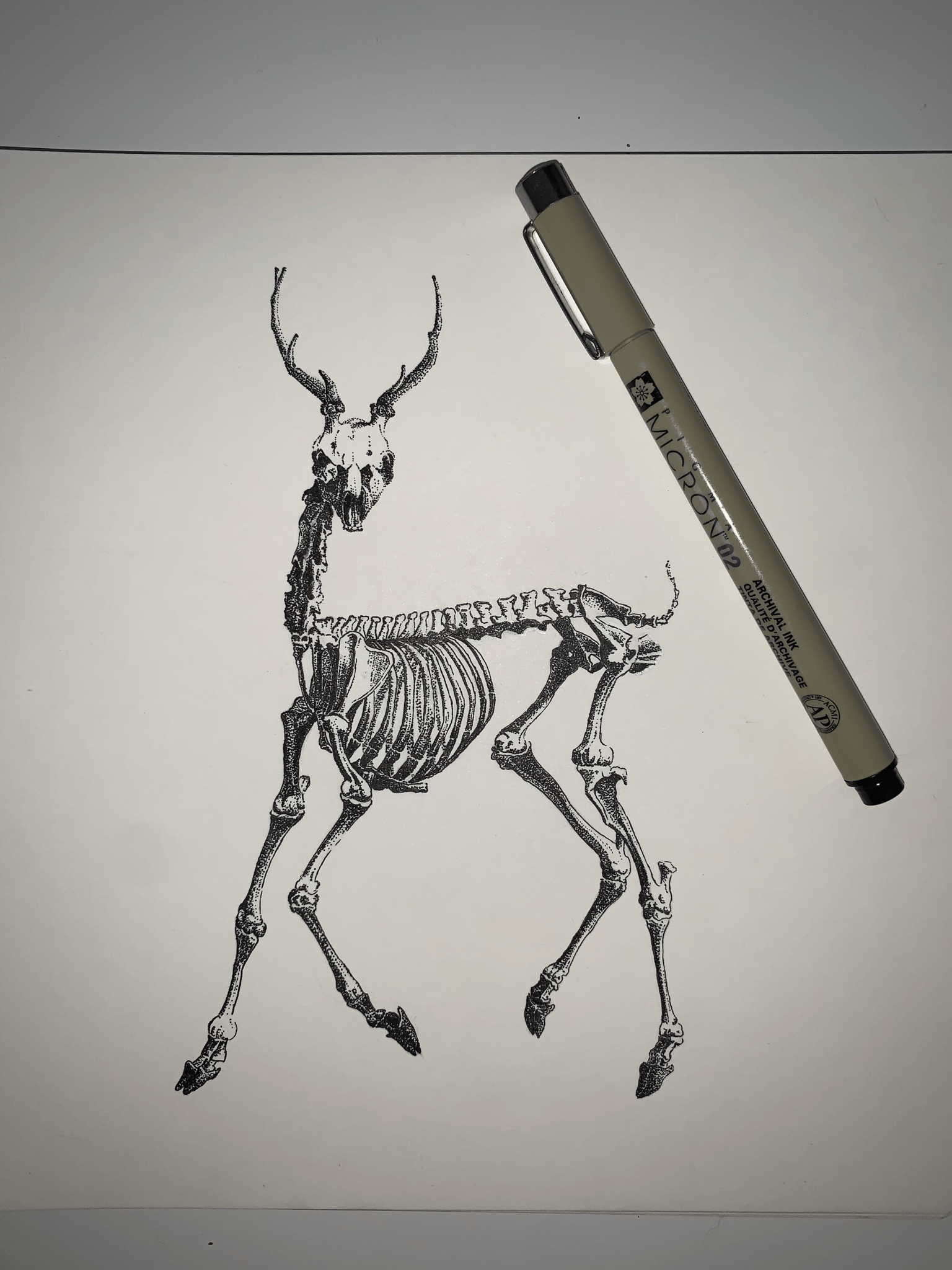 Dear deer - image 1 - student project