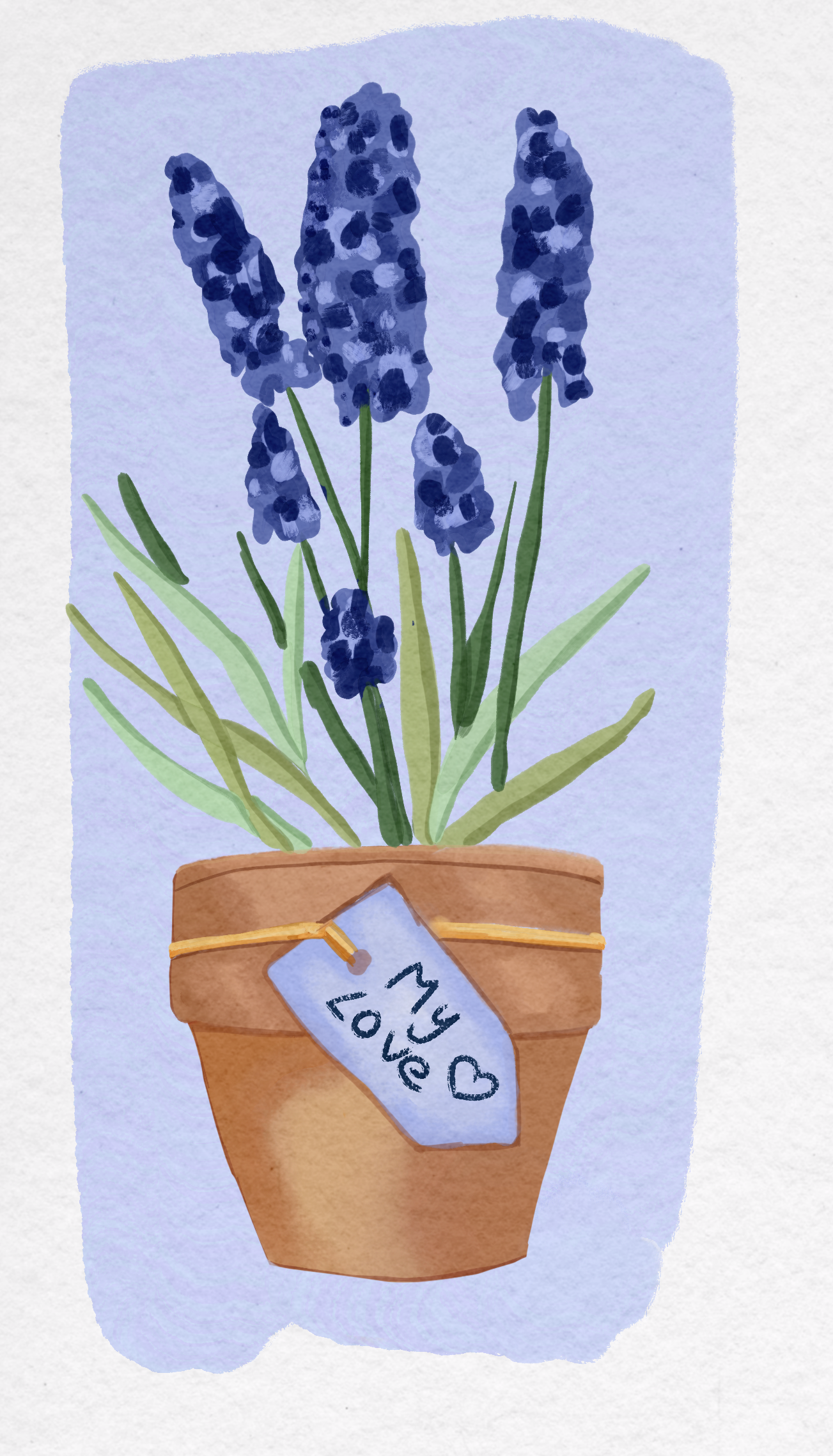 Pots and Plants - image 4 - student project