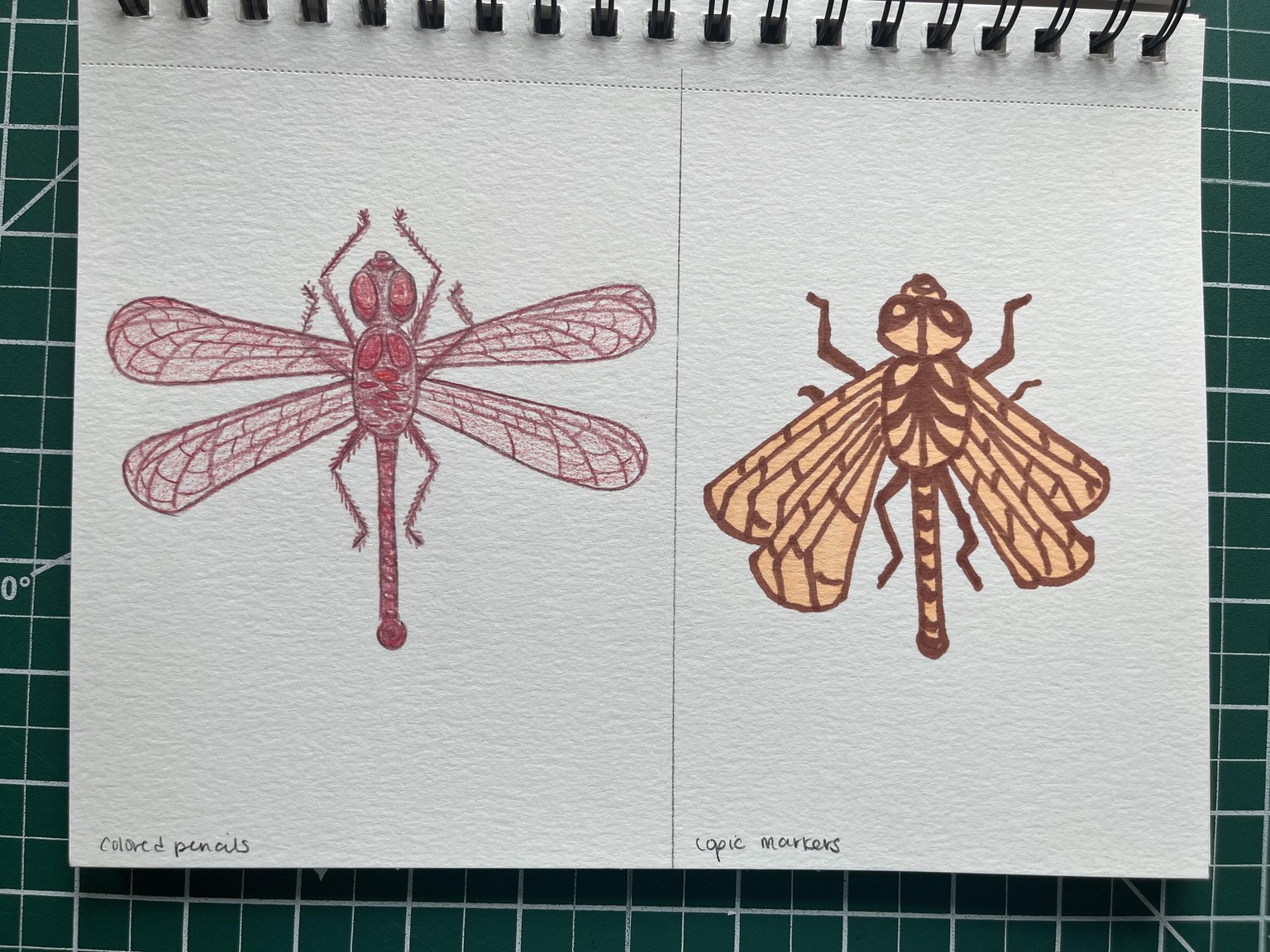 Illustration Style in 6 Buggy Experiments - image 11 - student project