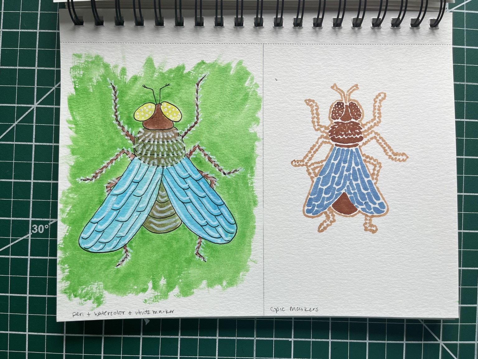 Illustration Style in 6 Buggy Experiments - image 6 - student project
