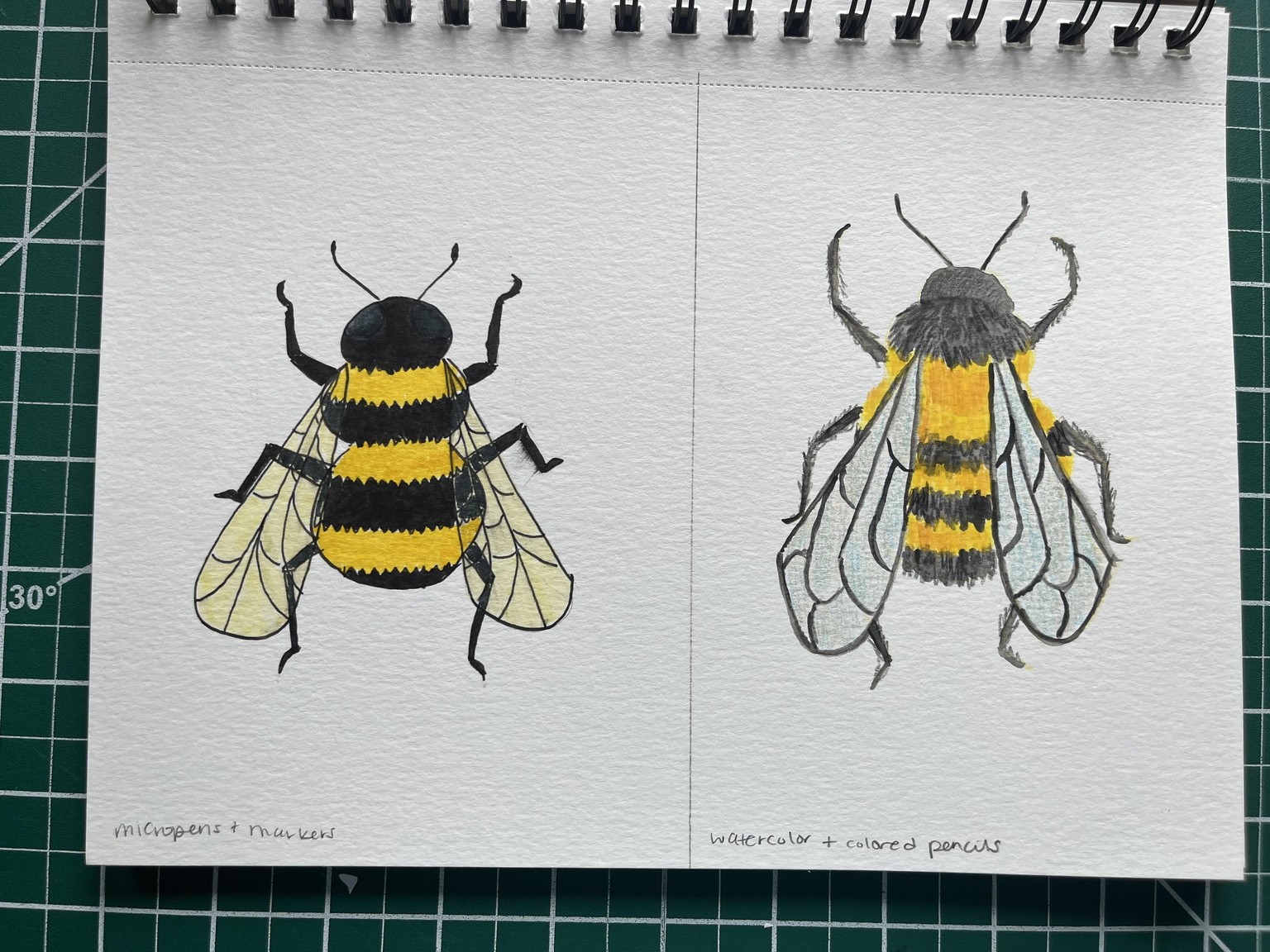 Illustration Style in 6 Buggy Experiments - image 13 - student project