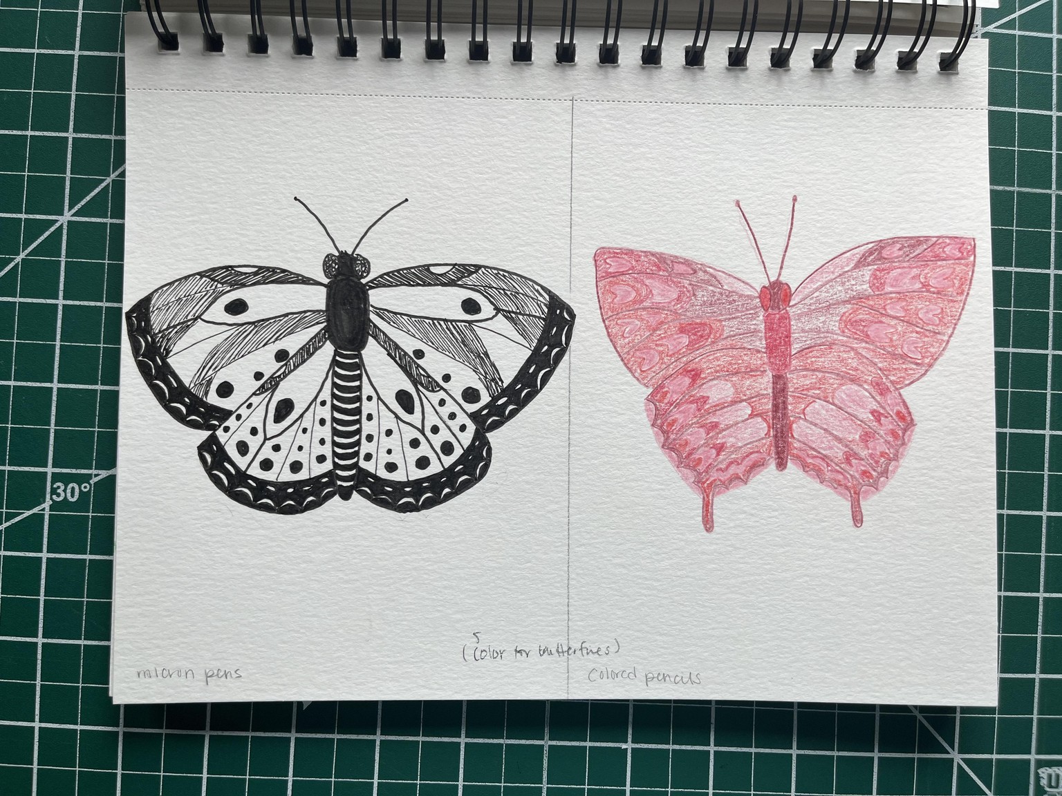 Illustration Style in 6 Buggy Experiments - image 7 - student project