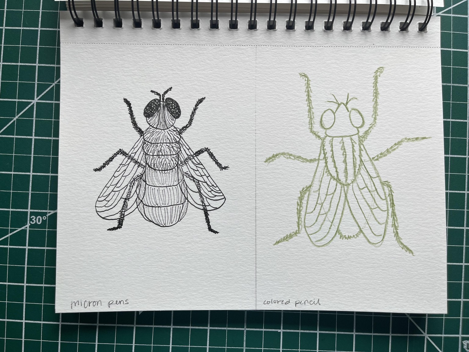 Illustration Style in 6 Buggy Experiments - image 4 - student project